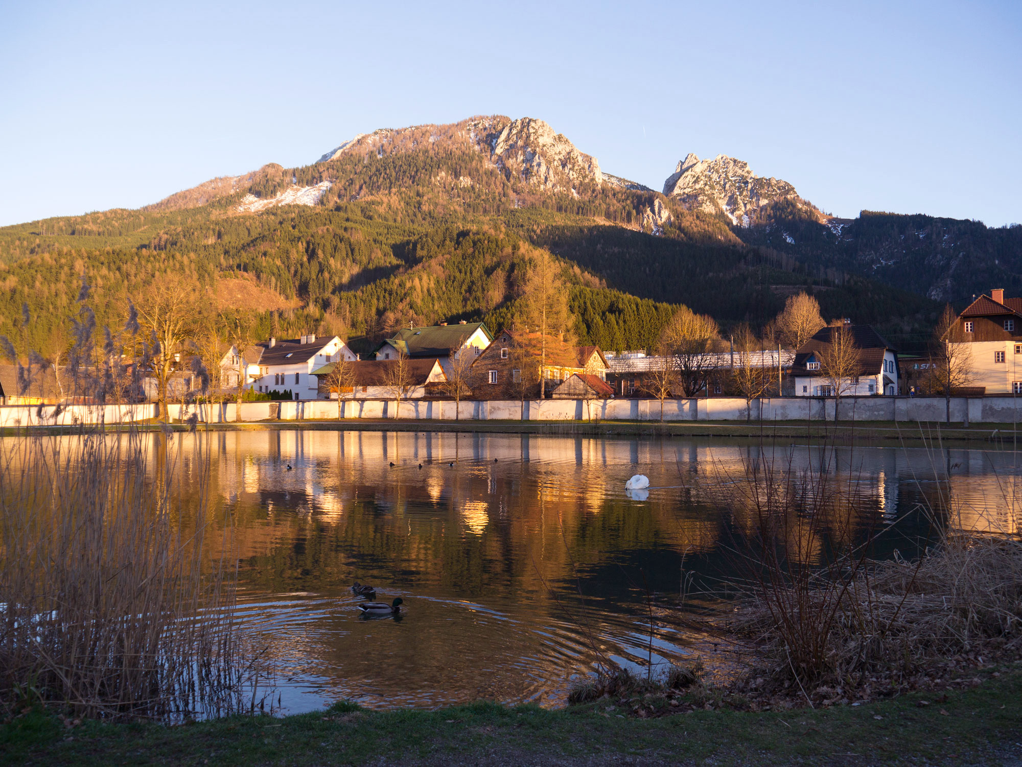 View Towards the Mountains