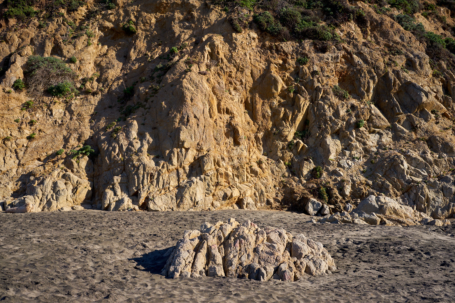 2019 Point Reyes California