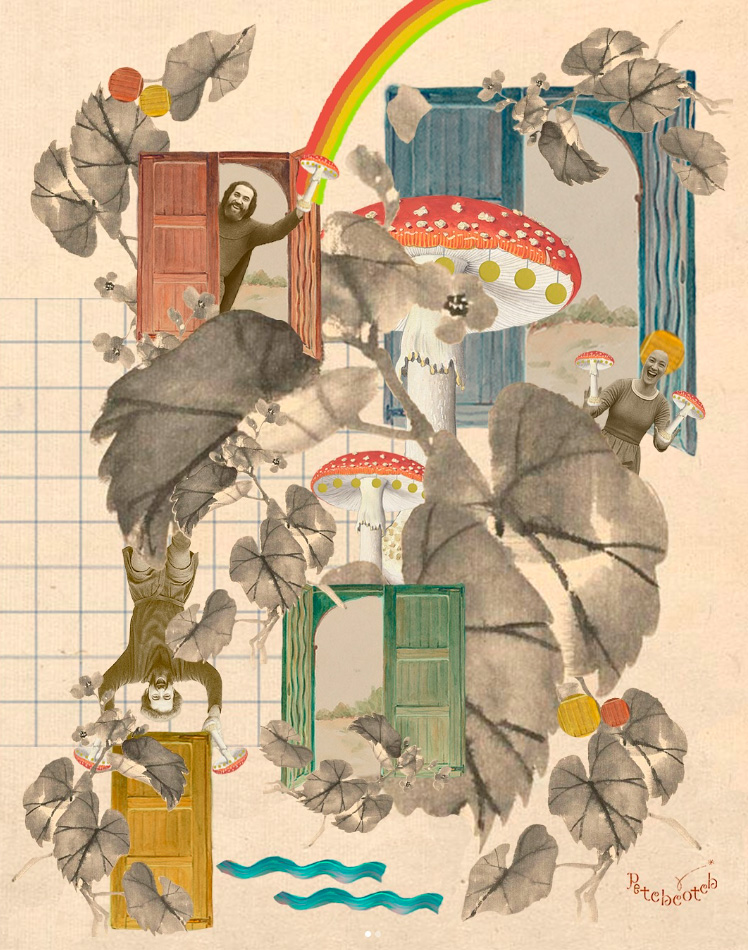 petchcotch_collageart