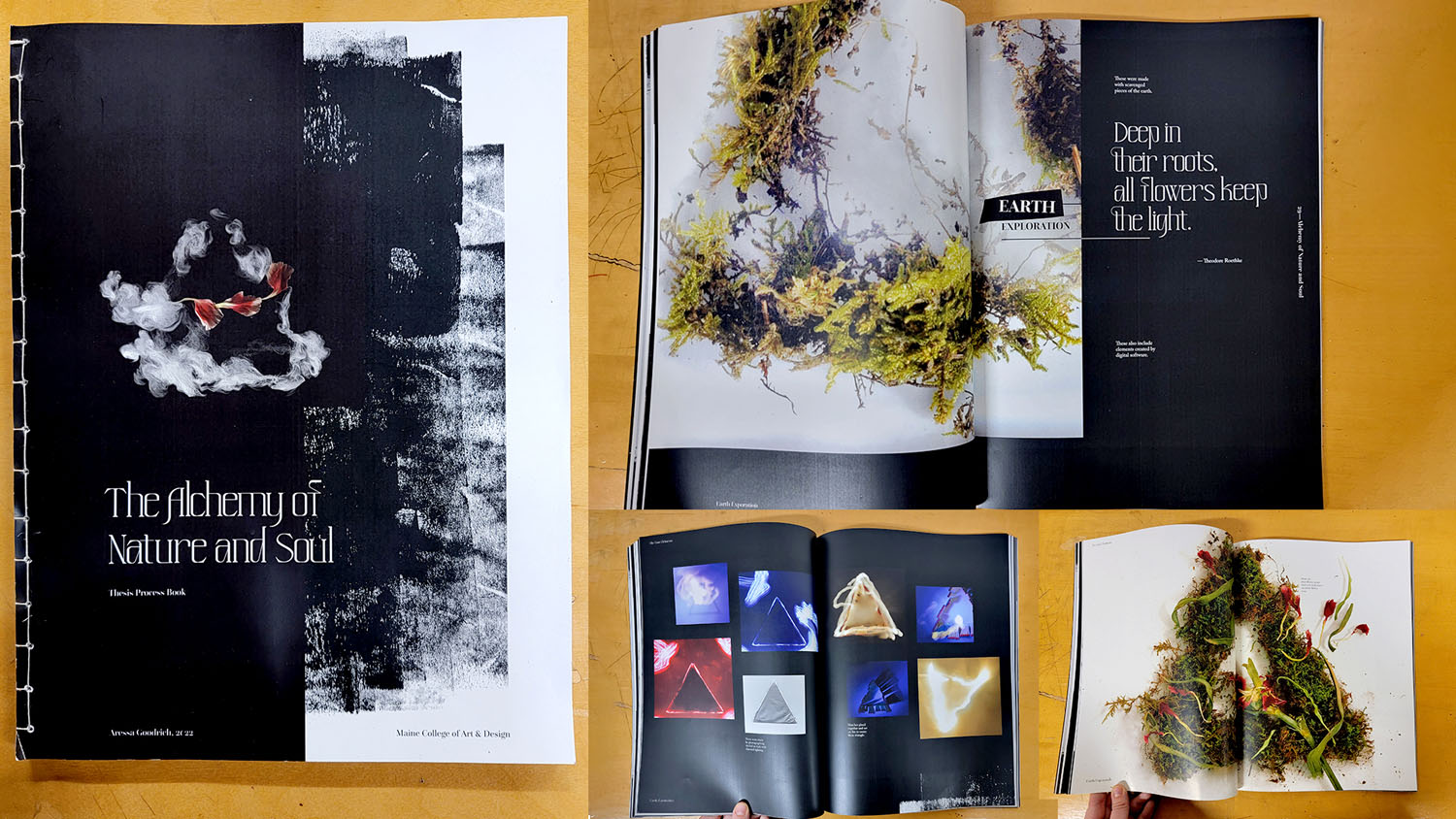 The Alchemy of Nature and Soul Process Book