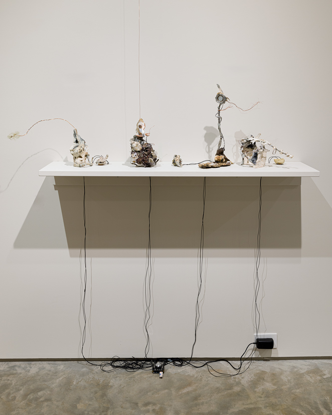(From left to right) Alchemyverse, "Wend 1," 2023. Coral, epoxy clay, welded copper, assorted animal bones, wood, bone conducting transmitters, lichen, hardware, electromagnetic sensors, field recordings, and other mixed media, 5 x 4 x15 inches; "Wend 5," 2024. Igneous rock, calcified shells, epoxy clay, copper foil, welded steel, bone conducting transmitters, hardware, electromagnetic sensors, field recordings, and other mixed media, 8 x 5 x 5 1/2 inches; "Wend 3," 2023. Wood, assorted animal bone, cast bronze, coral, bone conducting transmitters, hardware, electromagnetic sensors, field recordings, and other mixed media, 9 x 4 1/2 x 16 inches; "Wend 2," 2023. Pit-fired ceramics, epoxy clay, assorted animal bones, bone conducting transmitters, hardware, electromagnetic sensors, field recordings, and other mixed media, 9 x 18 x 8 inches. Photo by Etienne Frossard.