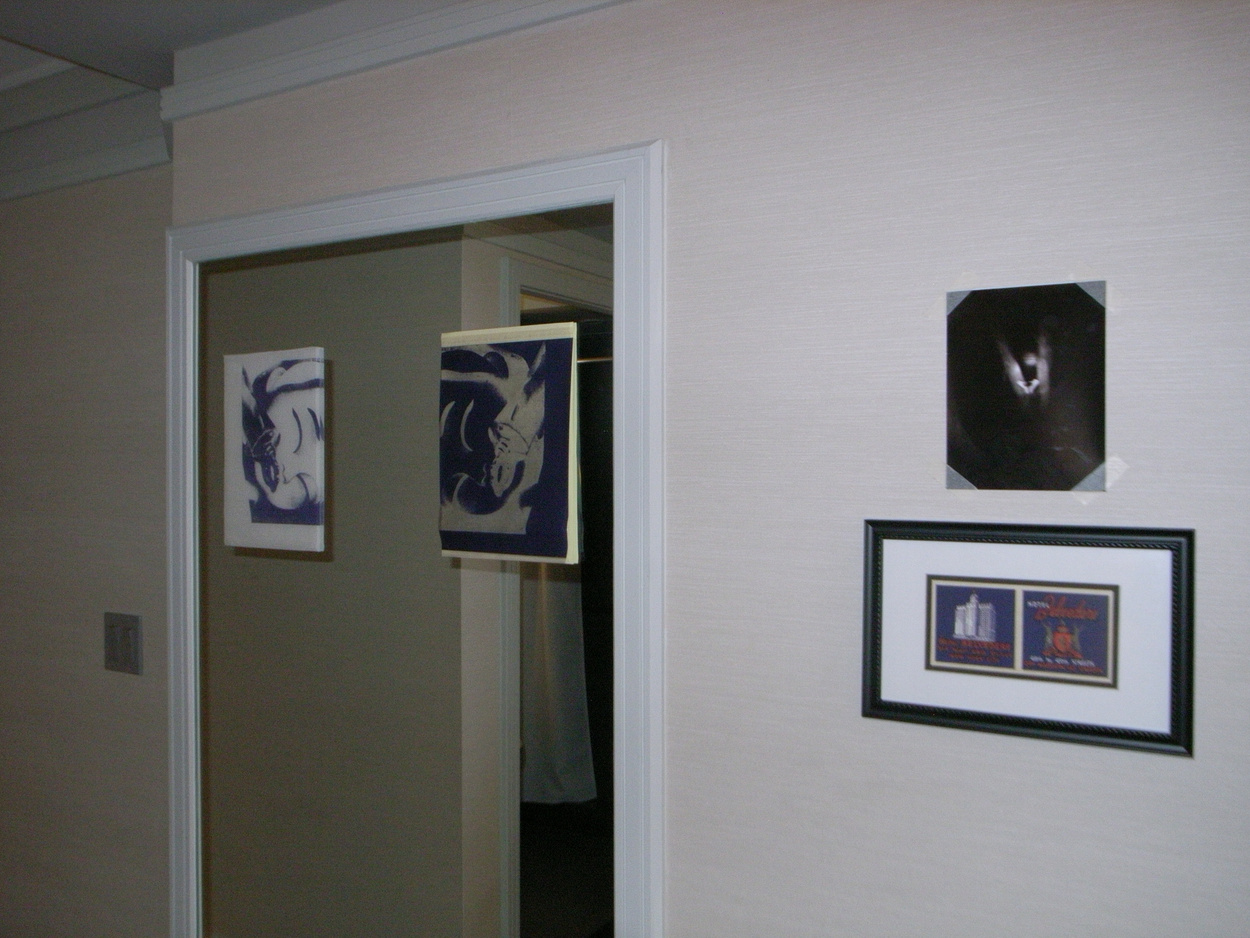 Photo Credit: Mara Hassan and Wes Hardin  Belly, KMS Enterprises (install view)