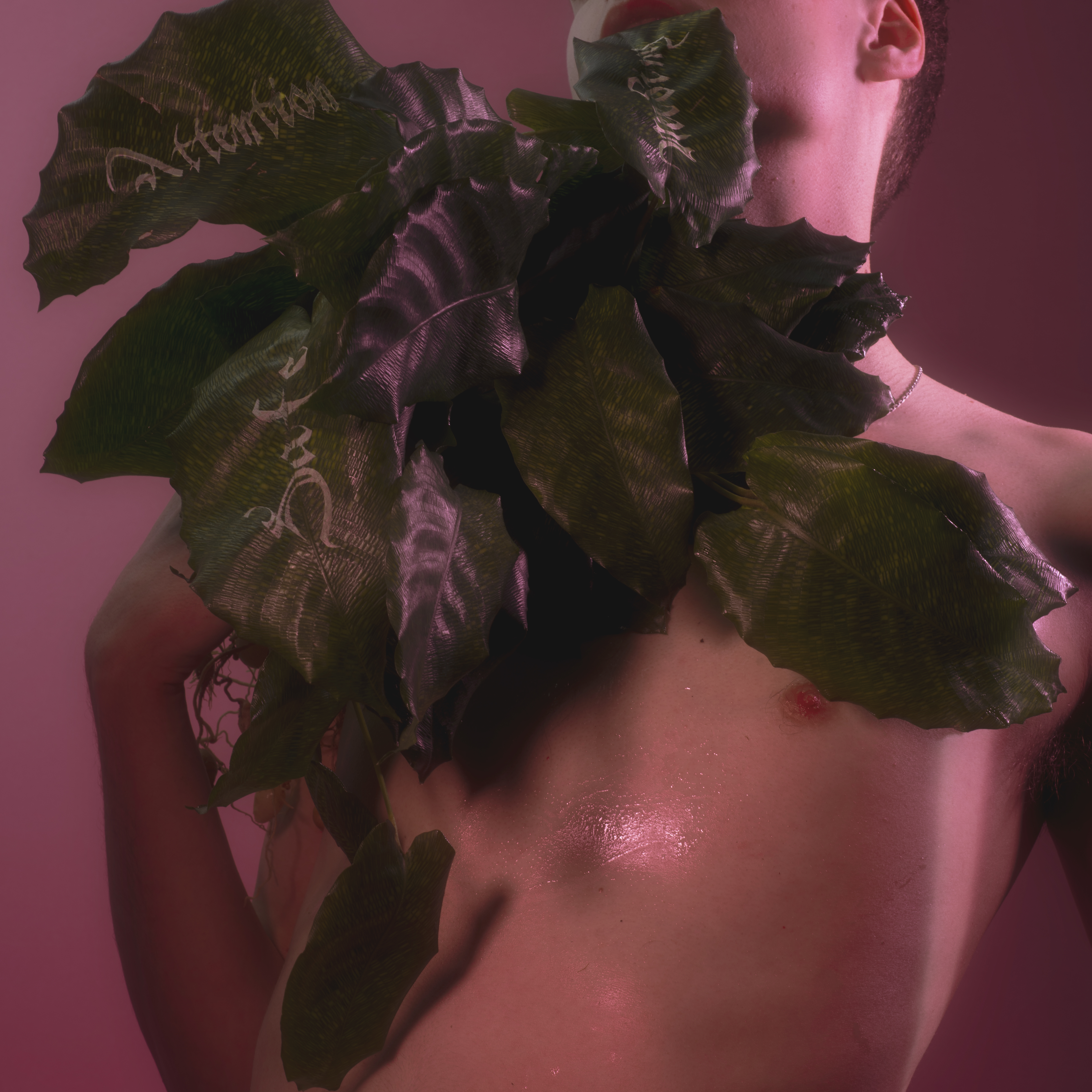 Safe Needing Attention | SPA Records