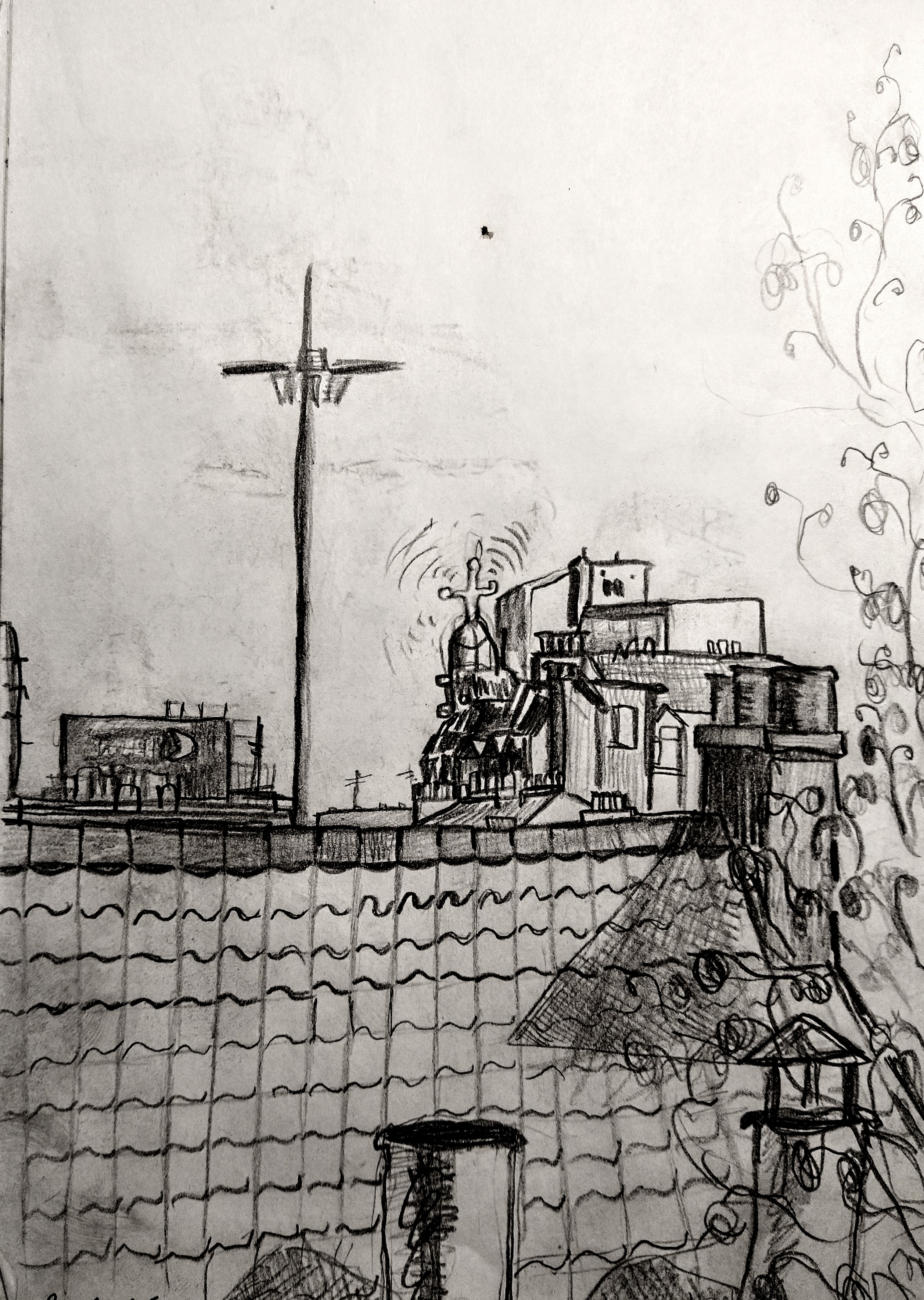 Attic flat view facing East 