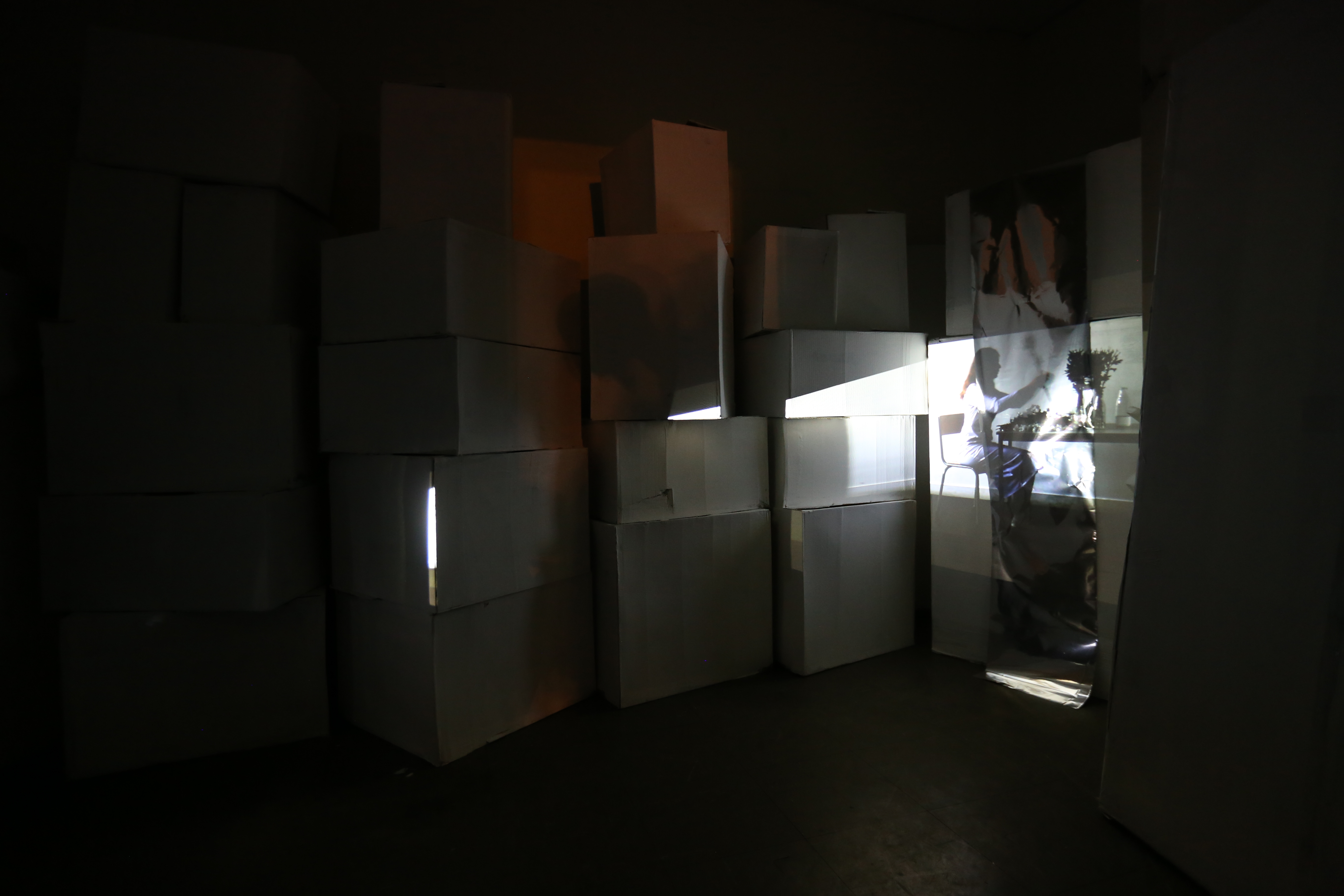 Collection, 2016, installation