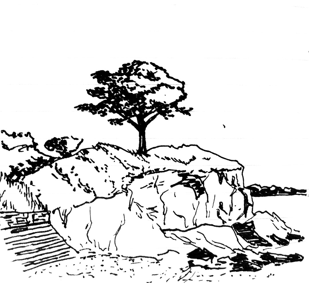 The tree of Billiers - Ink on paper 20x20 cm