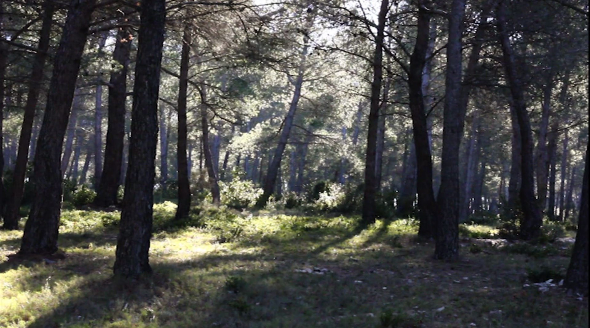 Hey gorgeous, 2017, short film