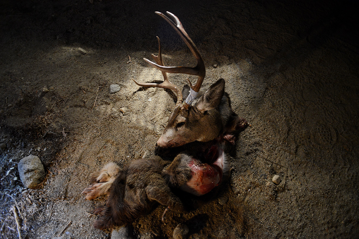 Big Game Draw winner, Independence, California, USA, 2013.