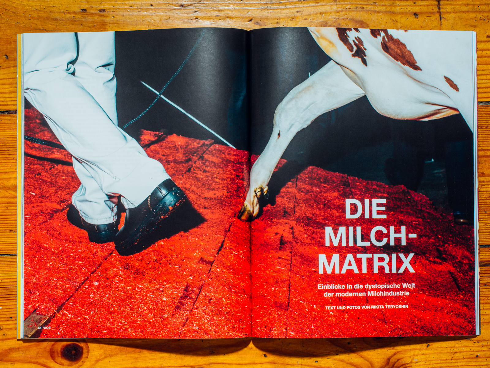 VICE / Hornless Heritage Serie als Coverstory, Juli 2017