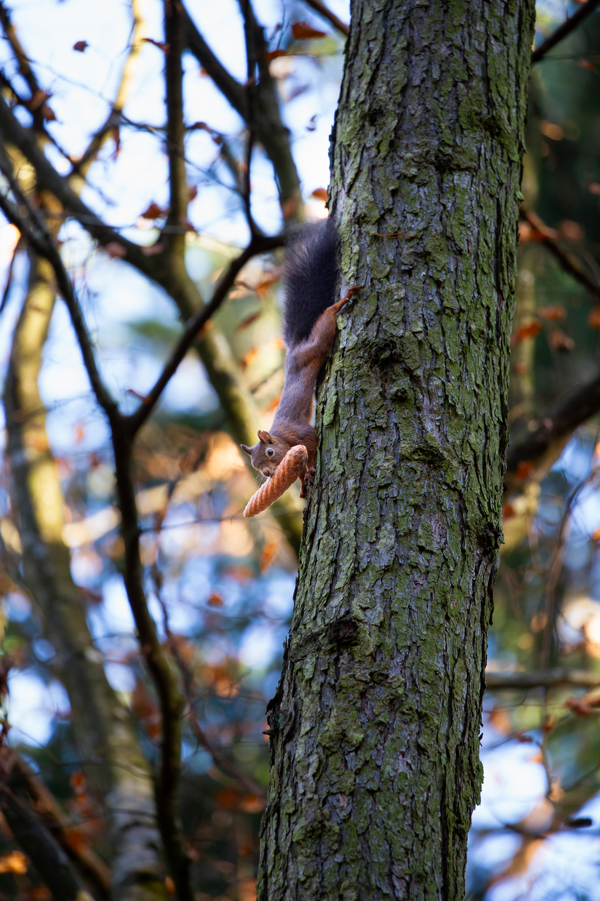 Bern, Switzerland, 2020