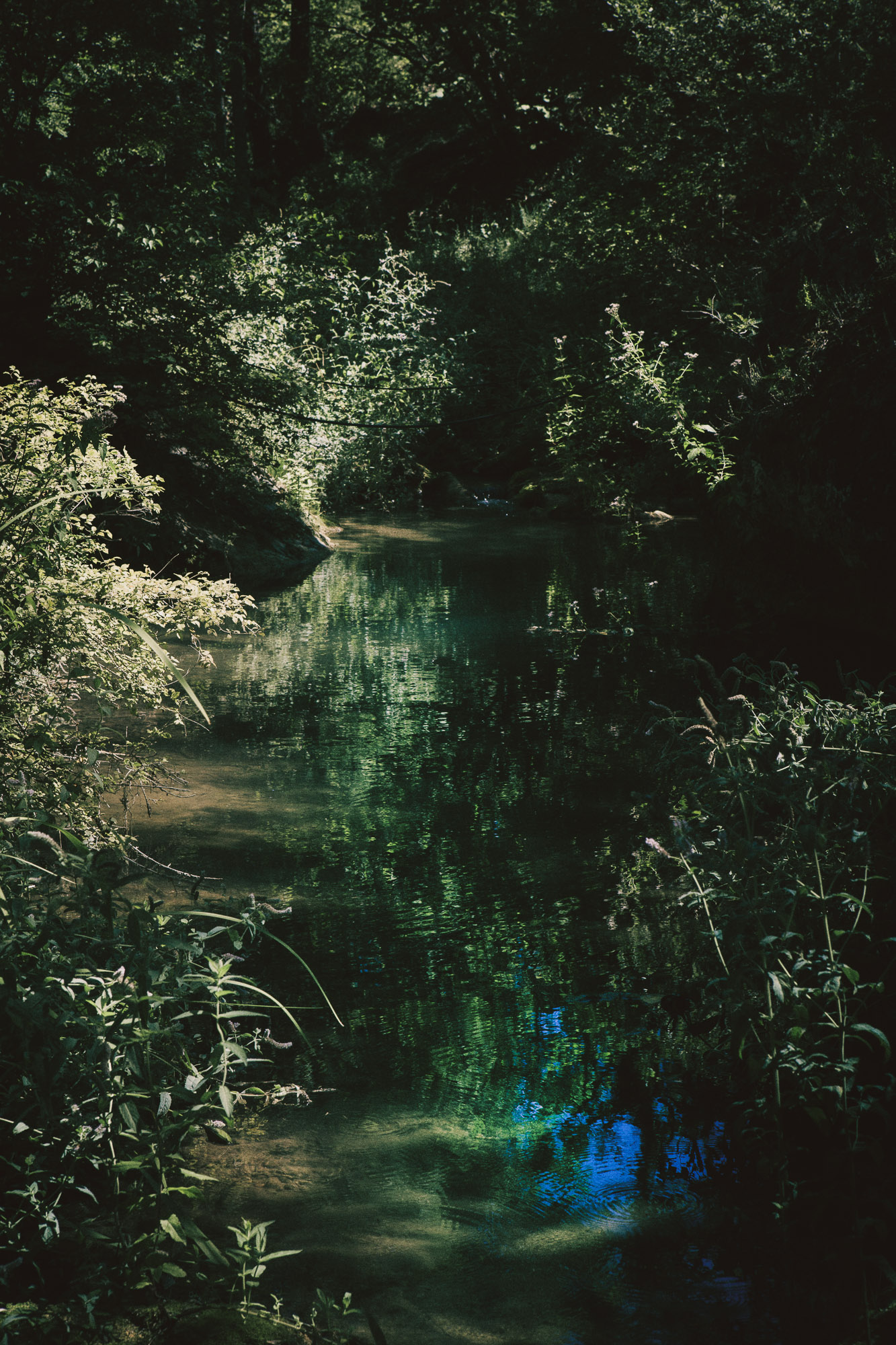 FV_Series_004_IMG_21_Babbling_Brook_1