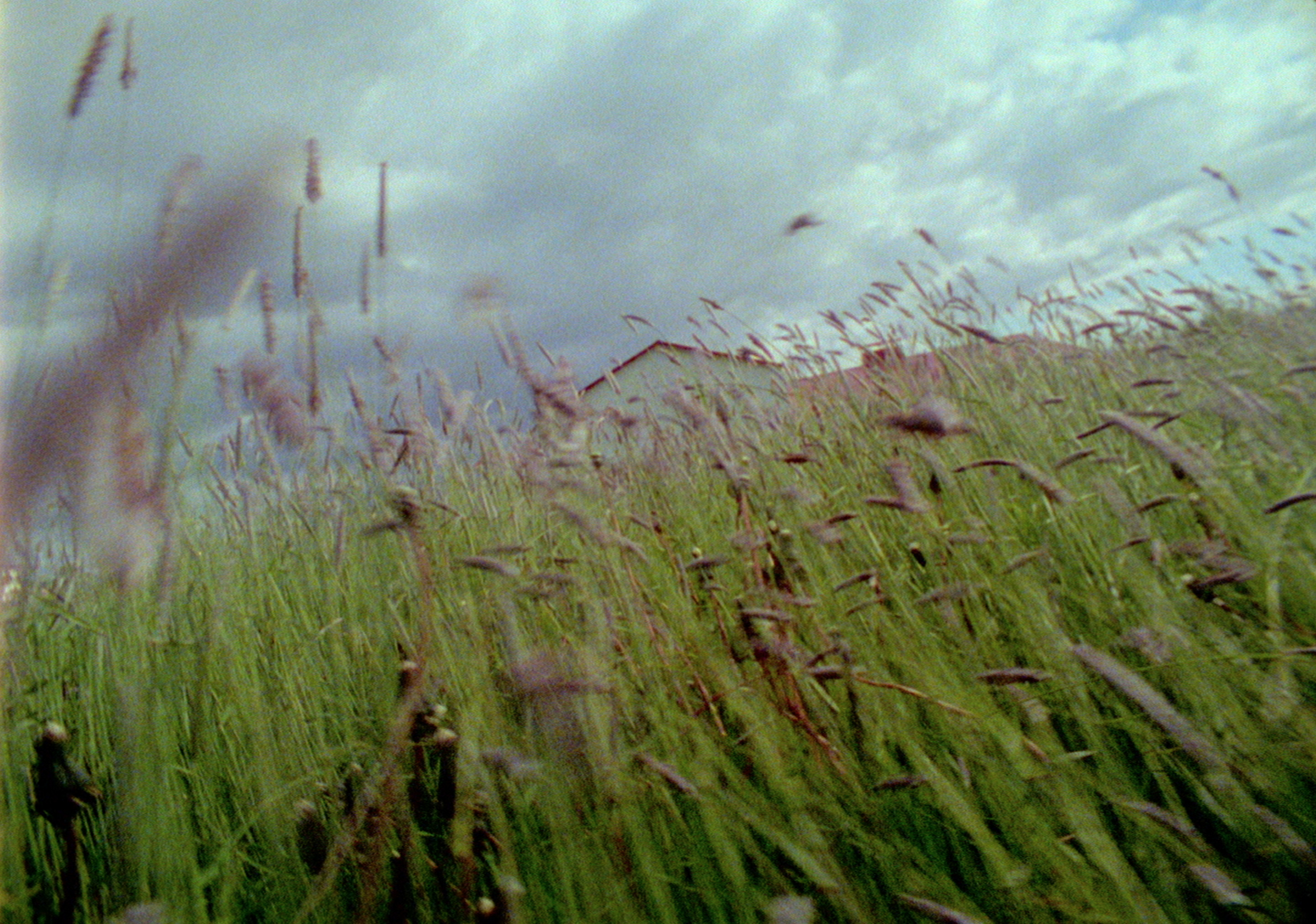 Never Happened Again, Myvatn, 2010. Excerpt of Single Channel Video Art Installation. Size: Variable / Site Specific. Duration: Continuous Loop. Still frame
