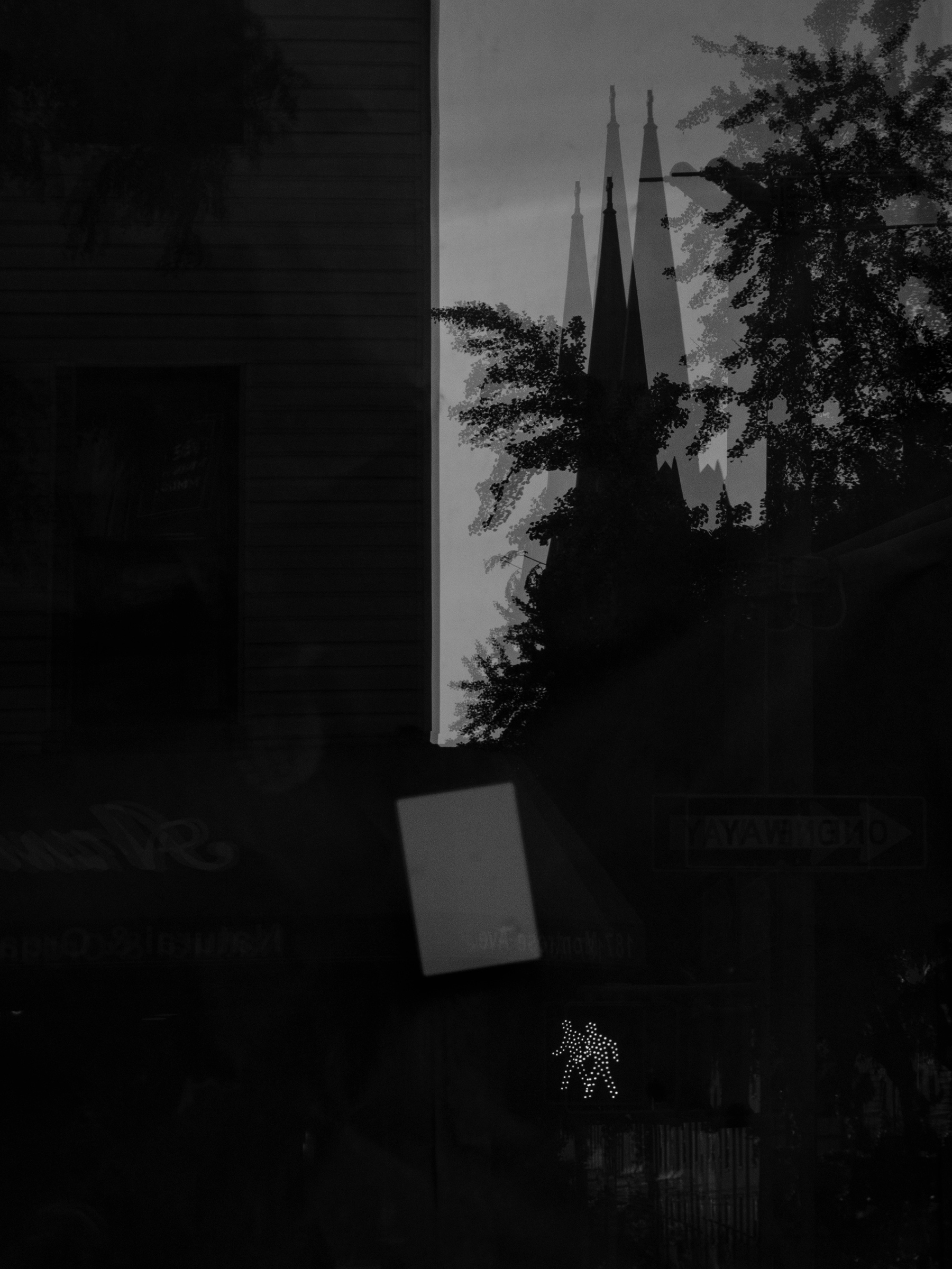 Sources of Self-Regard for The New York Times