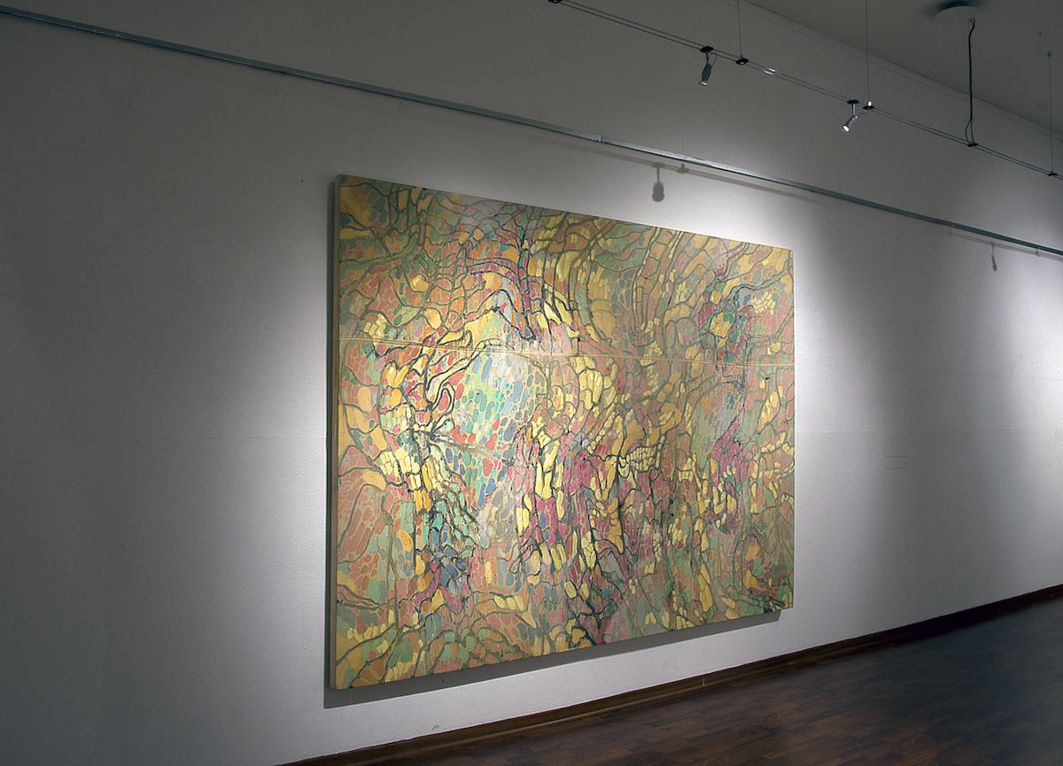 cernia ingrandita.jpeg