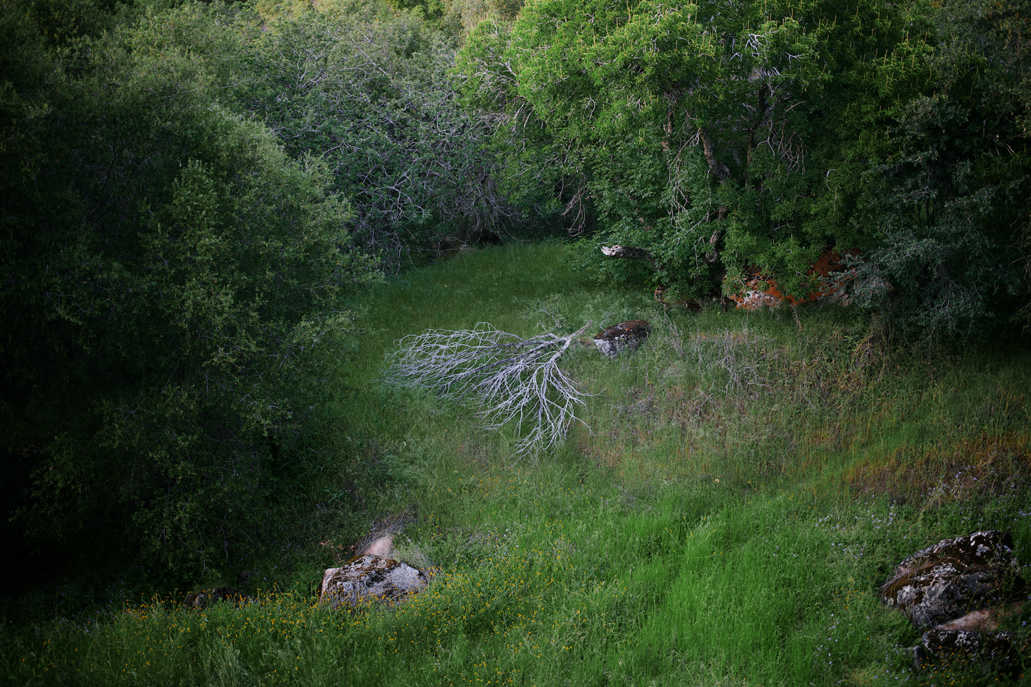 rest, photograph 2013