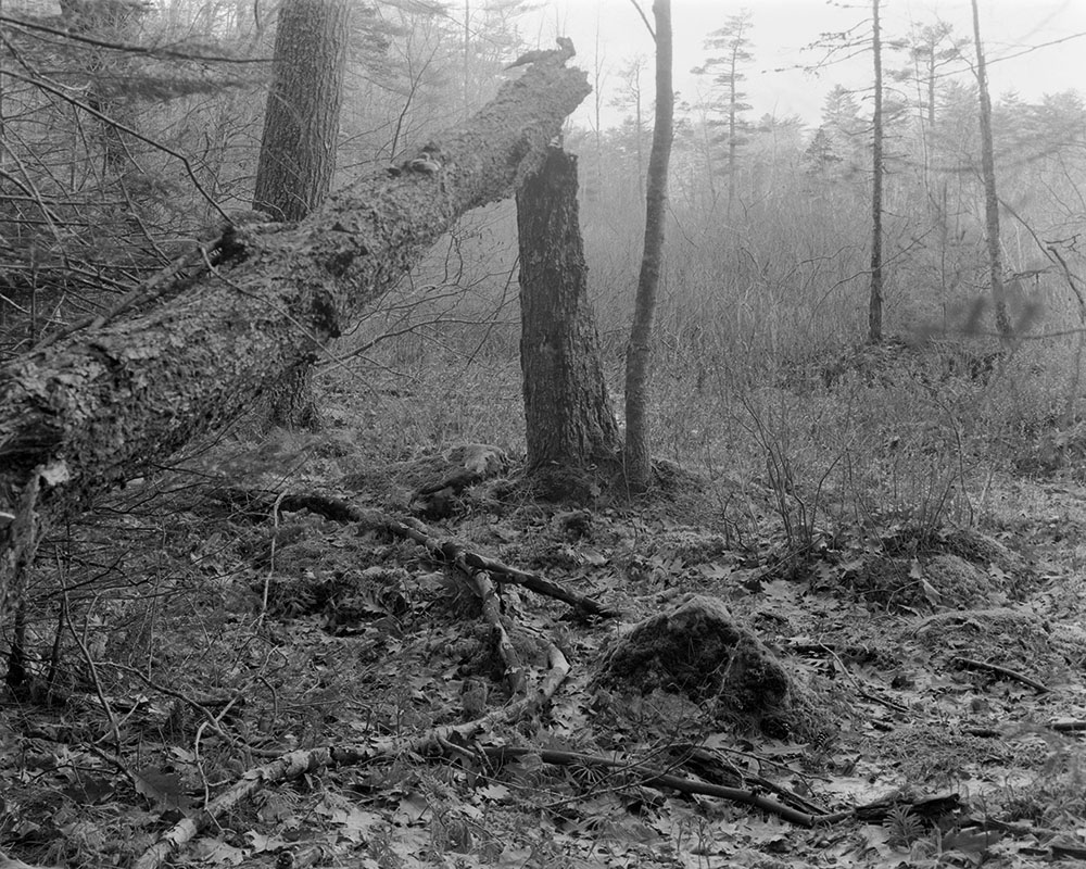 Touching Dirt, 2021. Archival Inkjet Print, walnut frame. 16x20&rdquo;