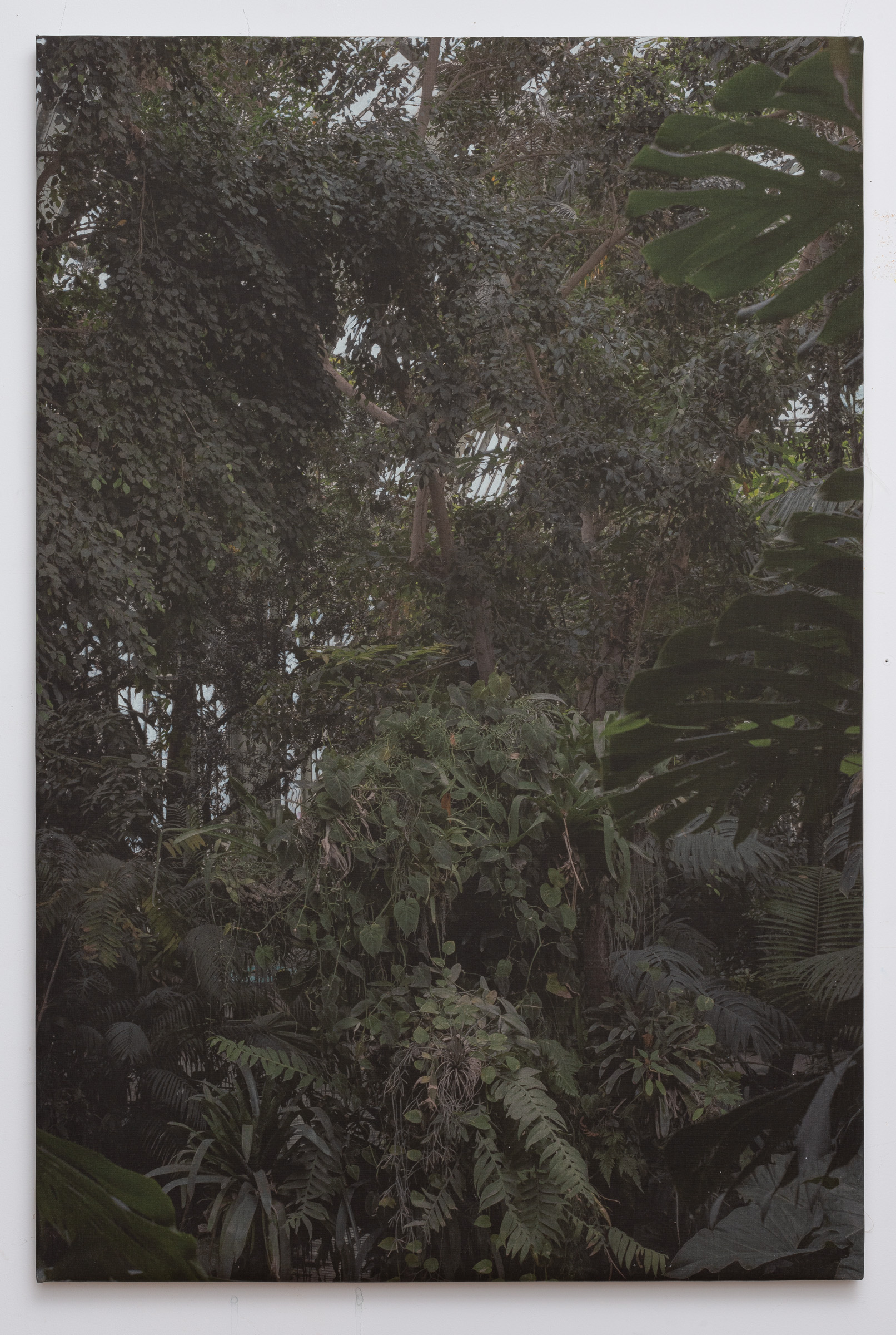Jungle40 inches x 60 inchesinkjet and acrylic on raw linen
