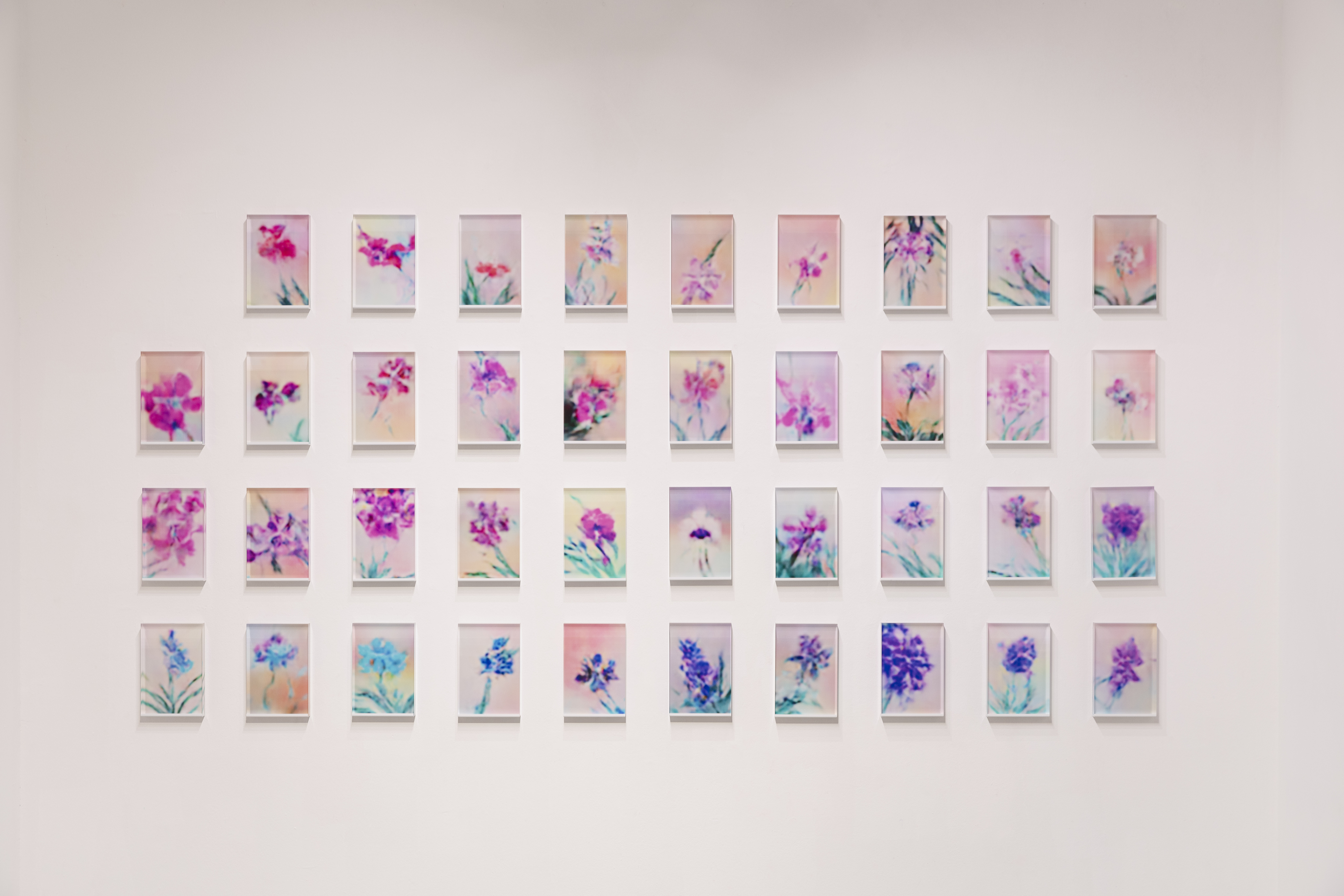 Exhibition View