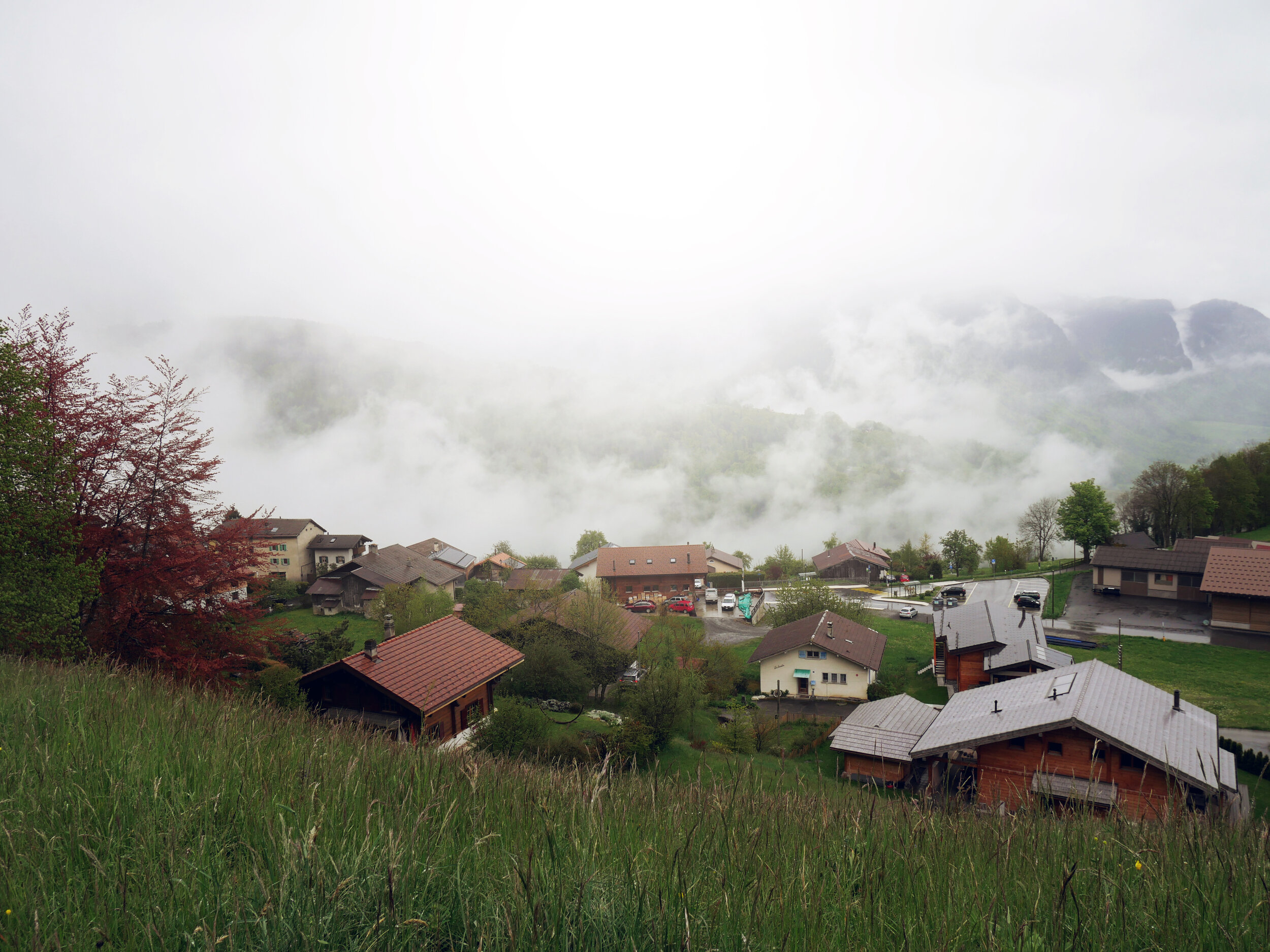 Huémoz, Switzerland, 2021