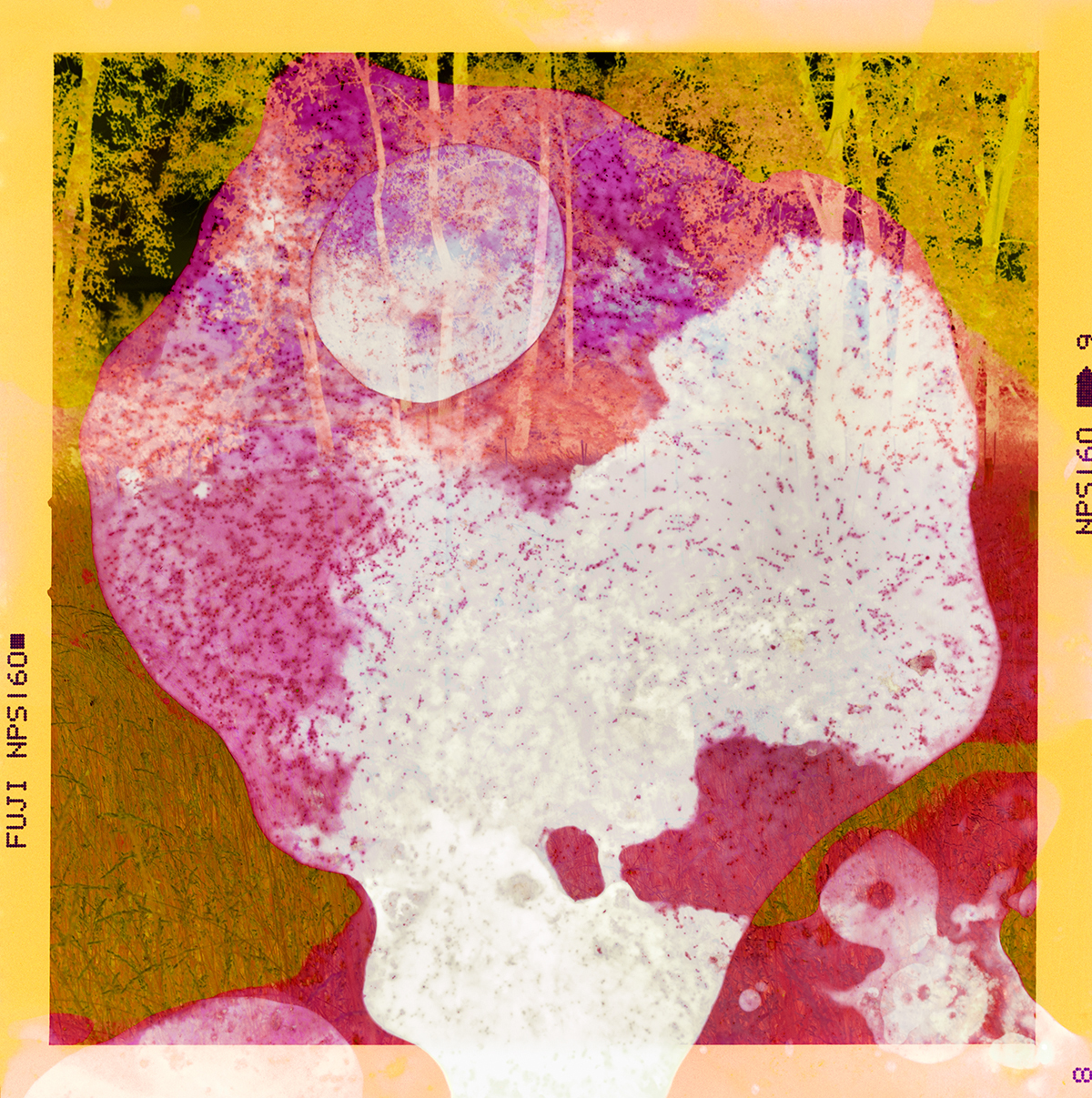 Belle Isle (III), 2021