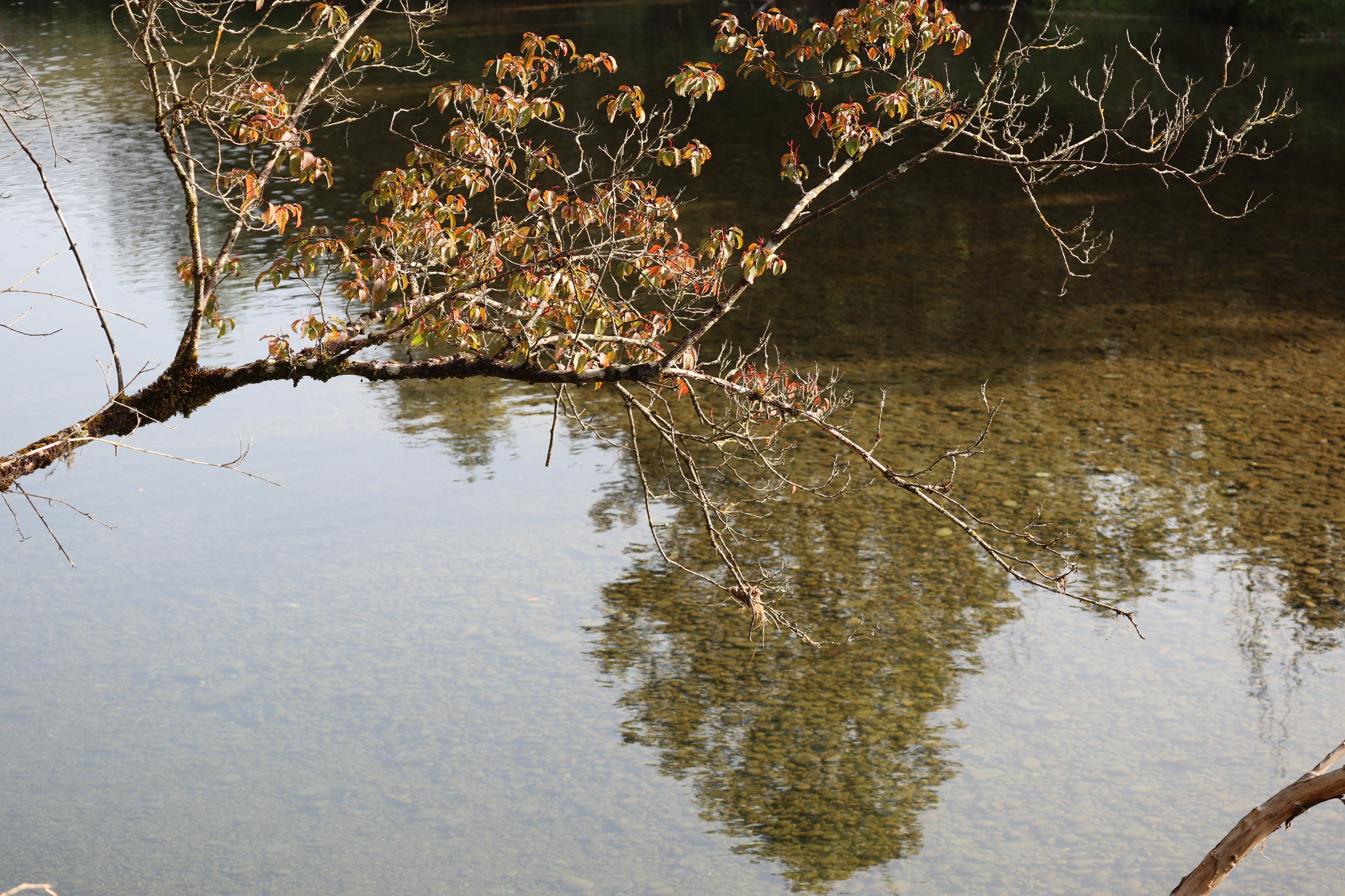In jedem Alter lohnt es sich hinzuschauen