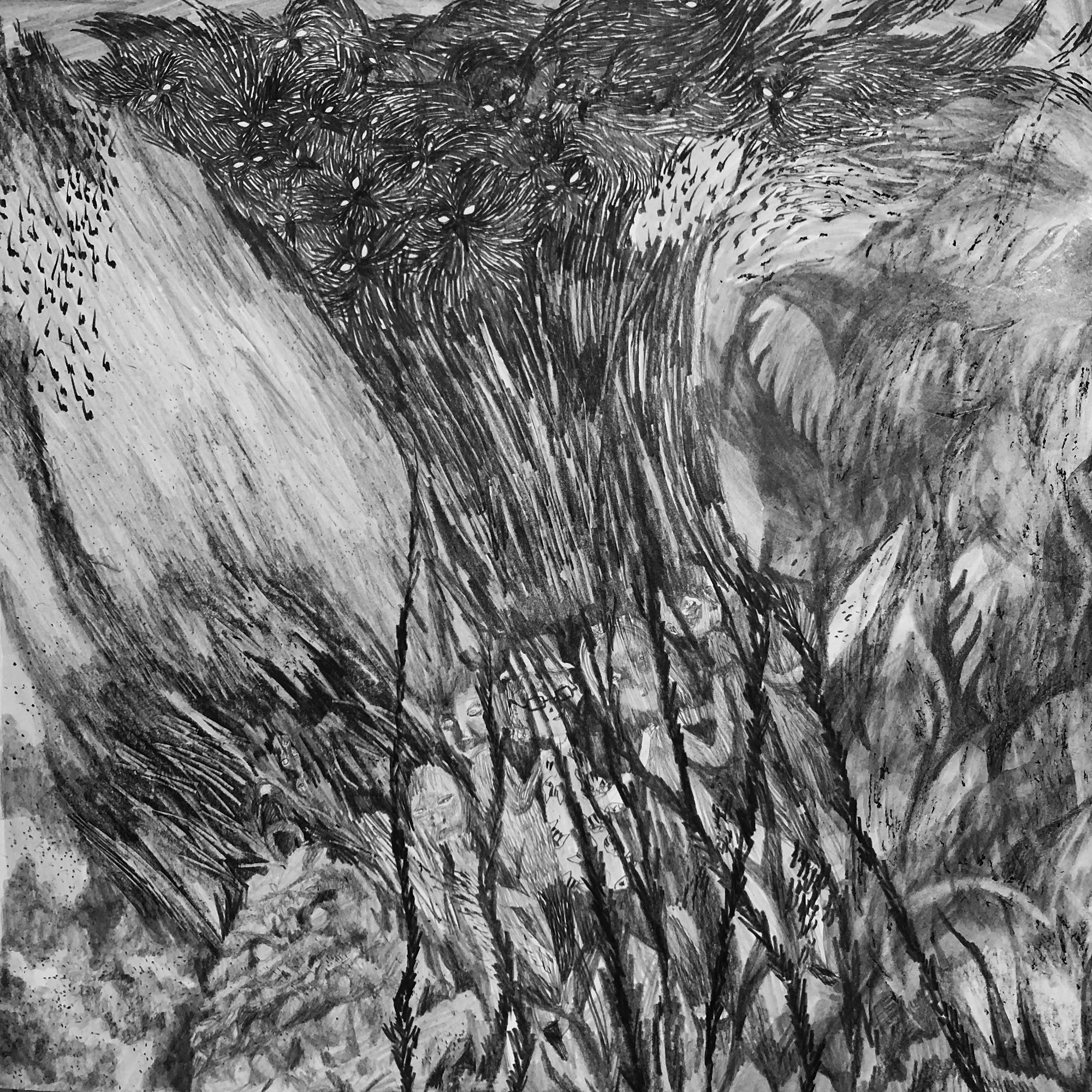 뜻밖의 조우, 2020, 종이에 연필, 40x40cm