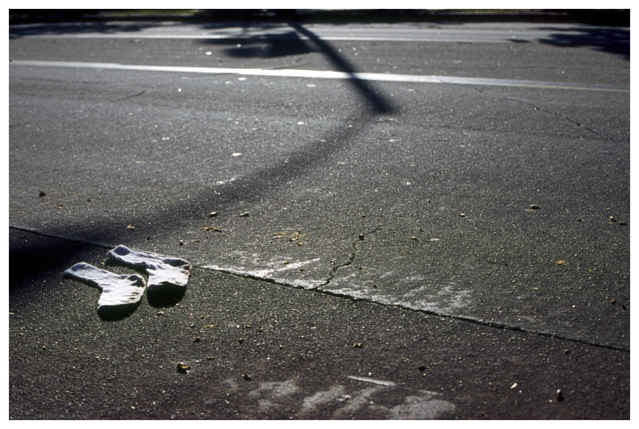 They Came About Two by Two, 201335mm color slide film17.472 x 11.569 in.44.38 x 29.39 cm