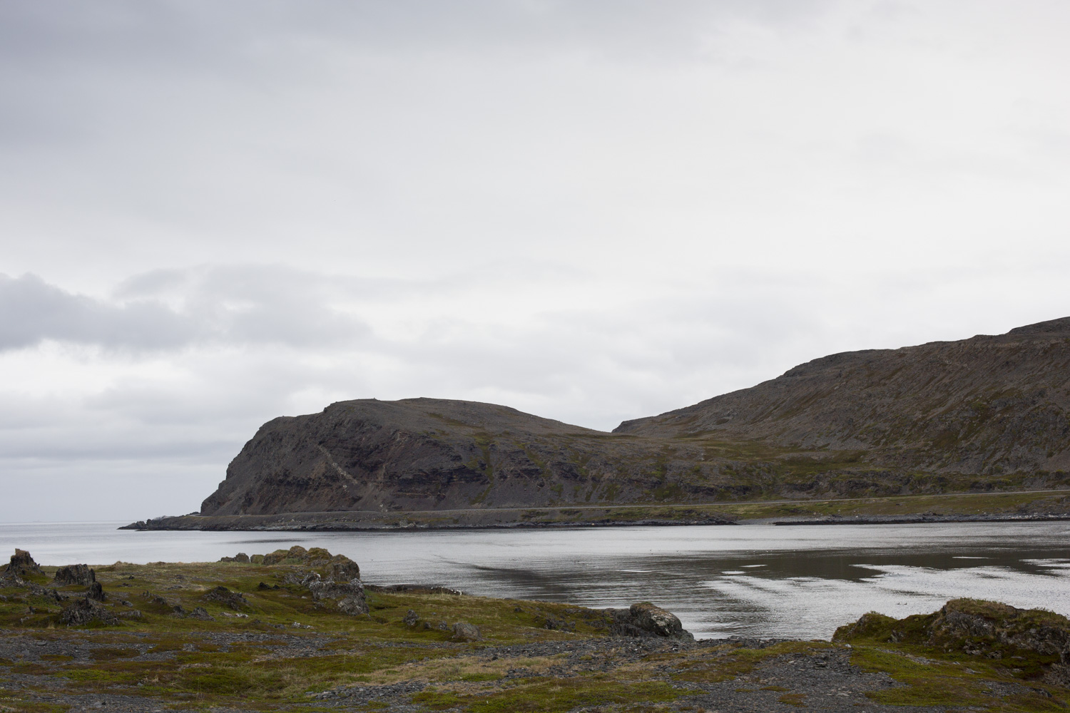 In June 2019 I pass by Kongsfjorden on the Varangerhalvøn in Norway. Among other things, I take this picture from the car. Without then knowing about Resvoll Holmsen's similar motif on the mountain.