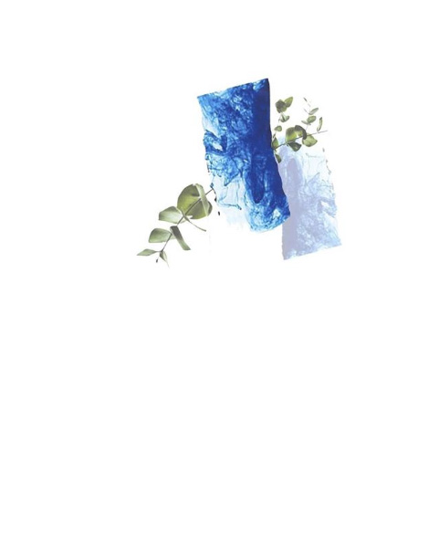 ｃｏｓｅｔｔｅ　ｂｏｊｏｒｑｕｅｚ