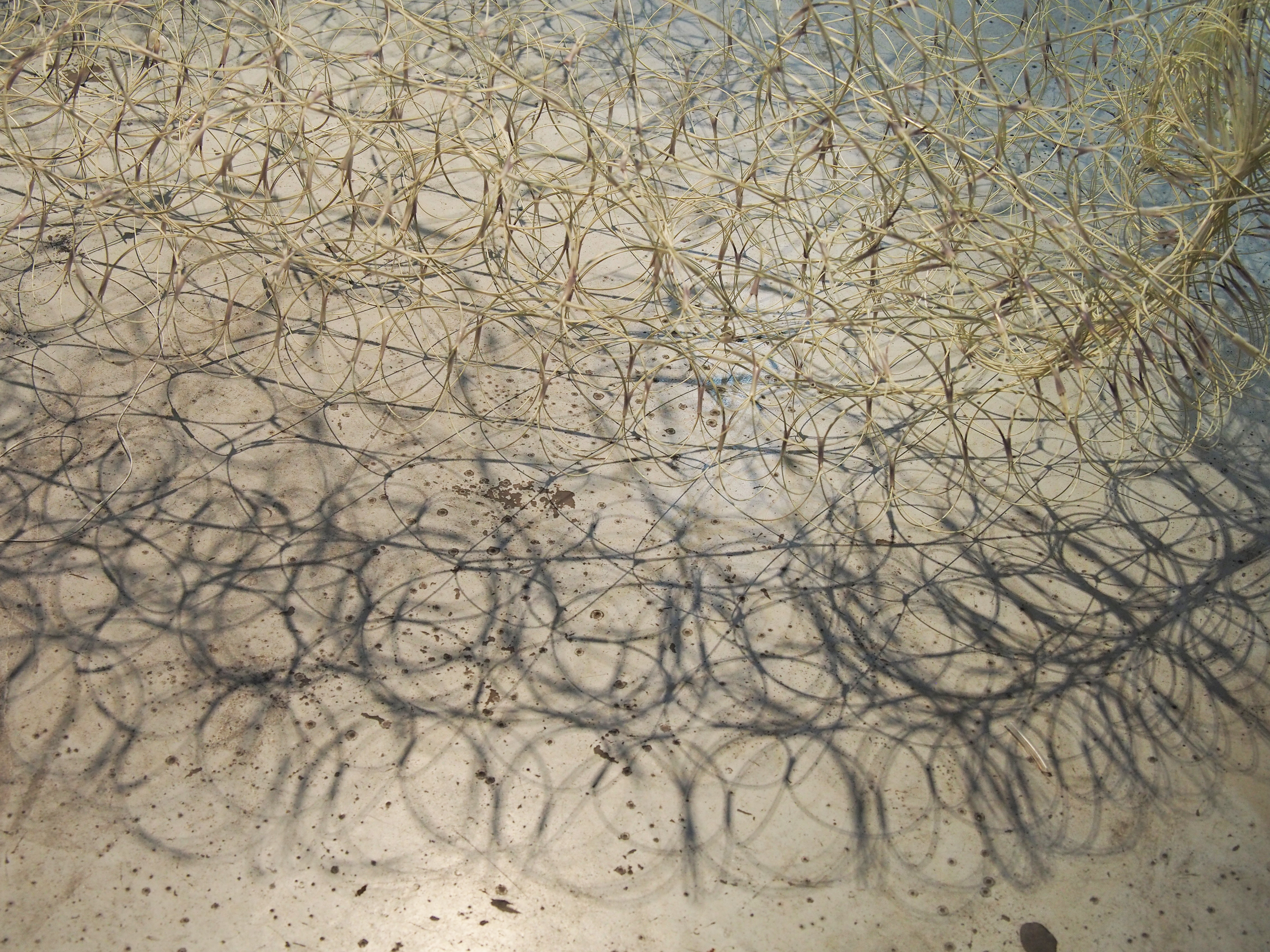 Kristoffer Stefan - Field of decisions (Champ decisionnaire) - (détail) - 2021 