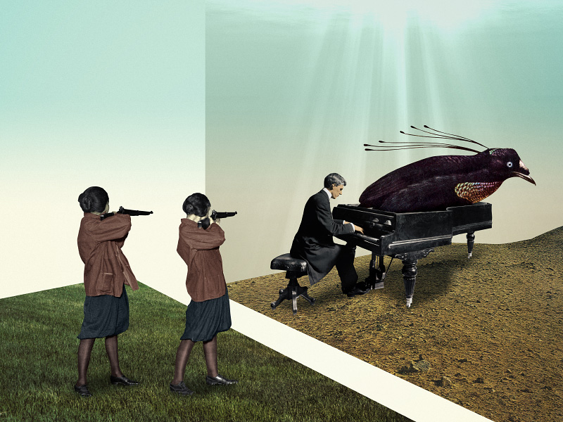 Concerto for Two Rifles and Bird