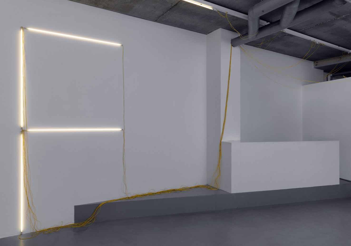 Navid Nuur, Tentacle Thought NR: 18 (SF), 2006-17, neon