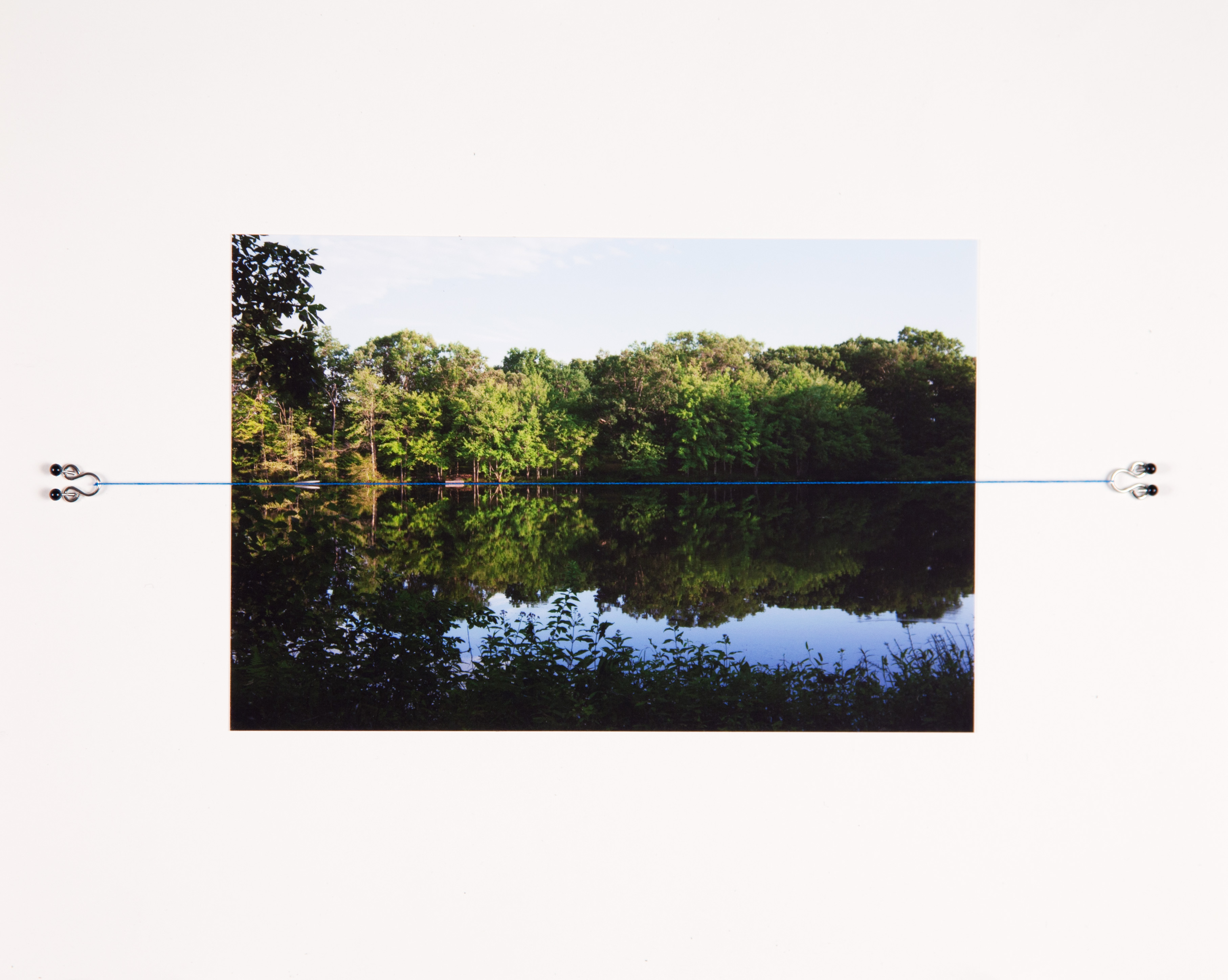 Field Edging #13, East Haddam, CT, 2014.