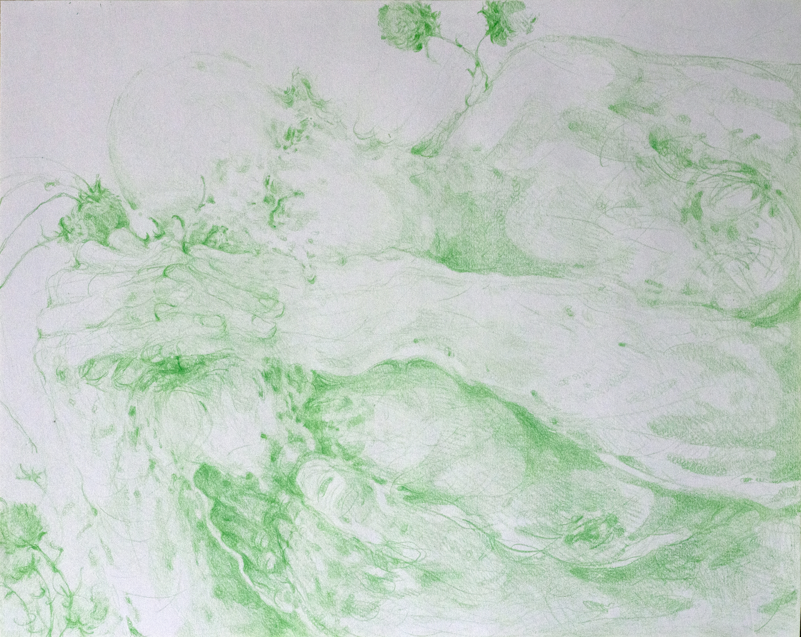 Taking three steps back, 12" x 16", colored pencil on paper, 2022