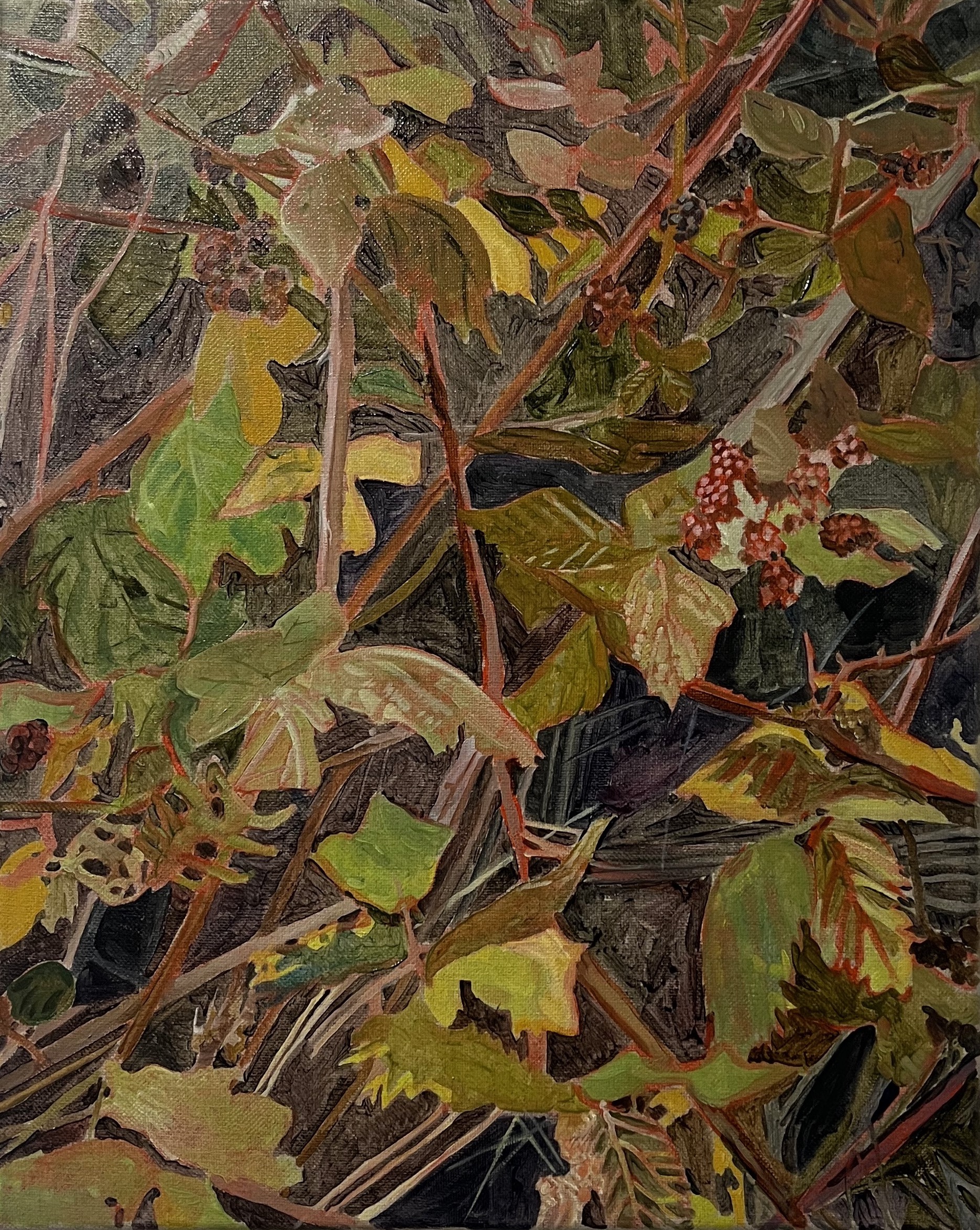 Berry Thicket (2024), oil on linen, 40x50cm