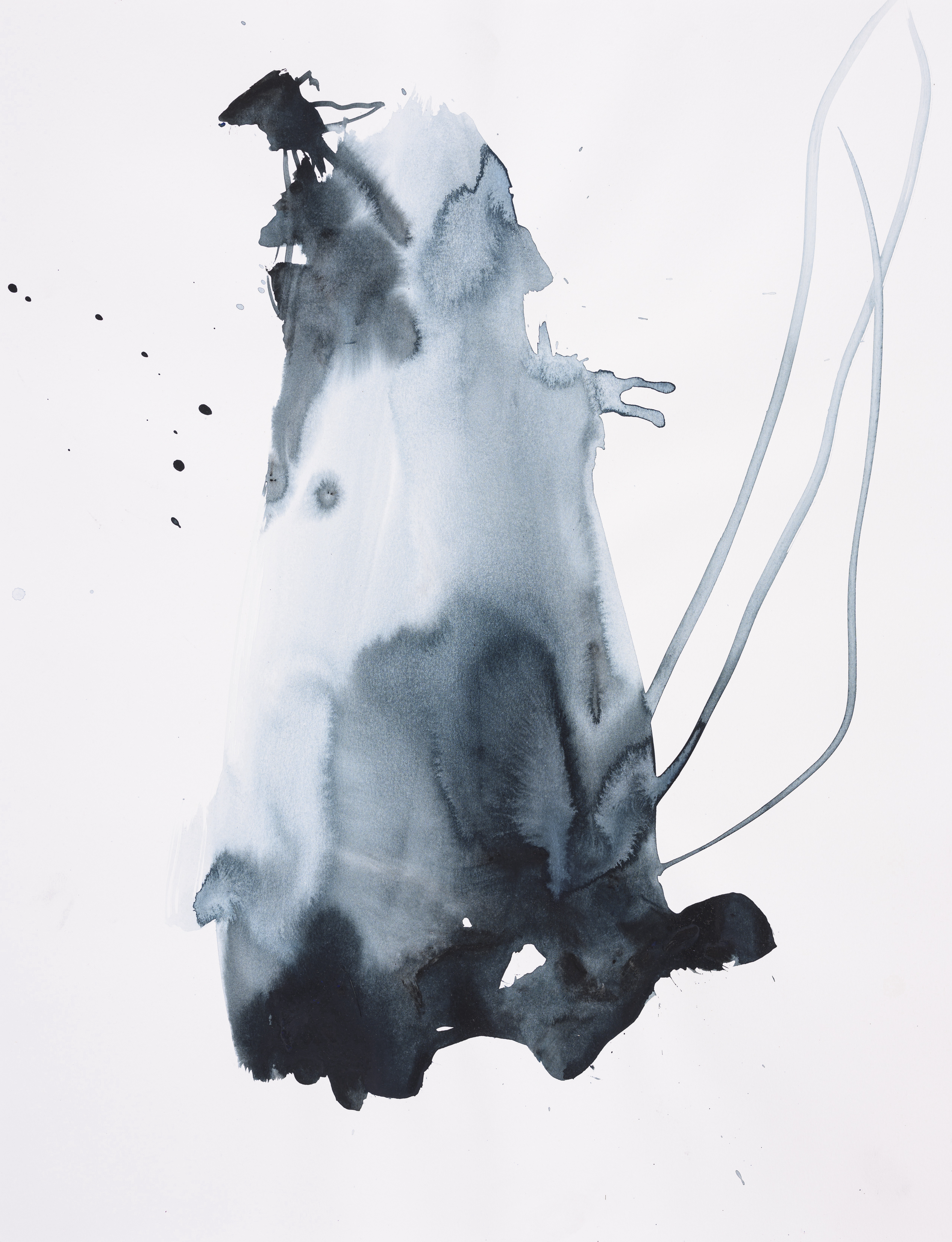 Study of nature 6014Acrylic on paper 65×50cm