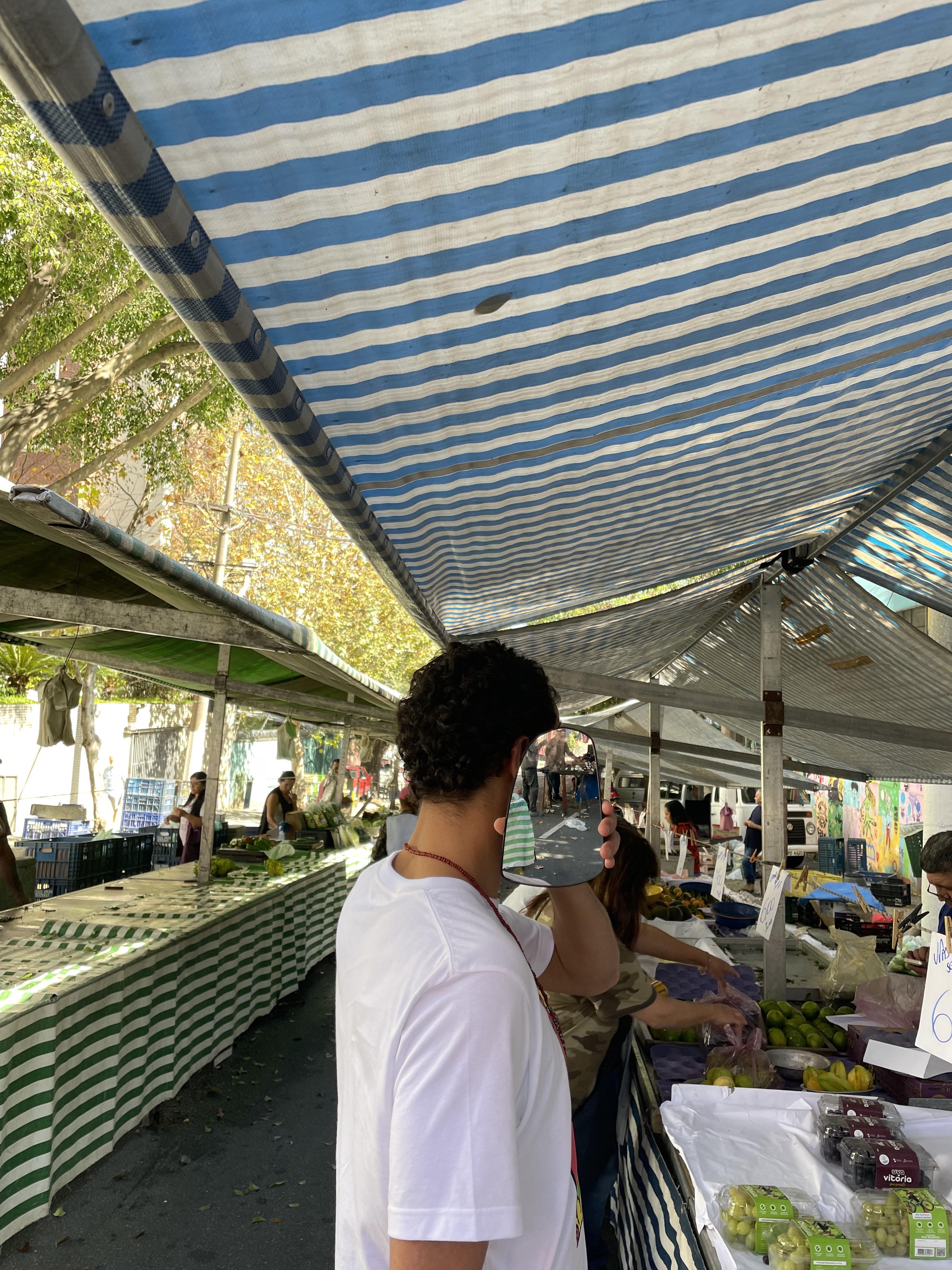 Found rearview mirror (portrait with street market), São Paulo,  2022, with Polina Shklovskaya