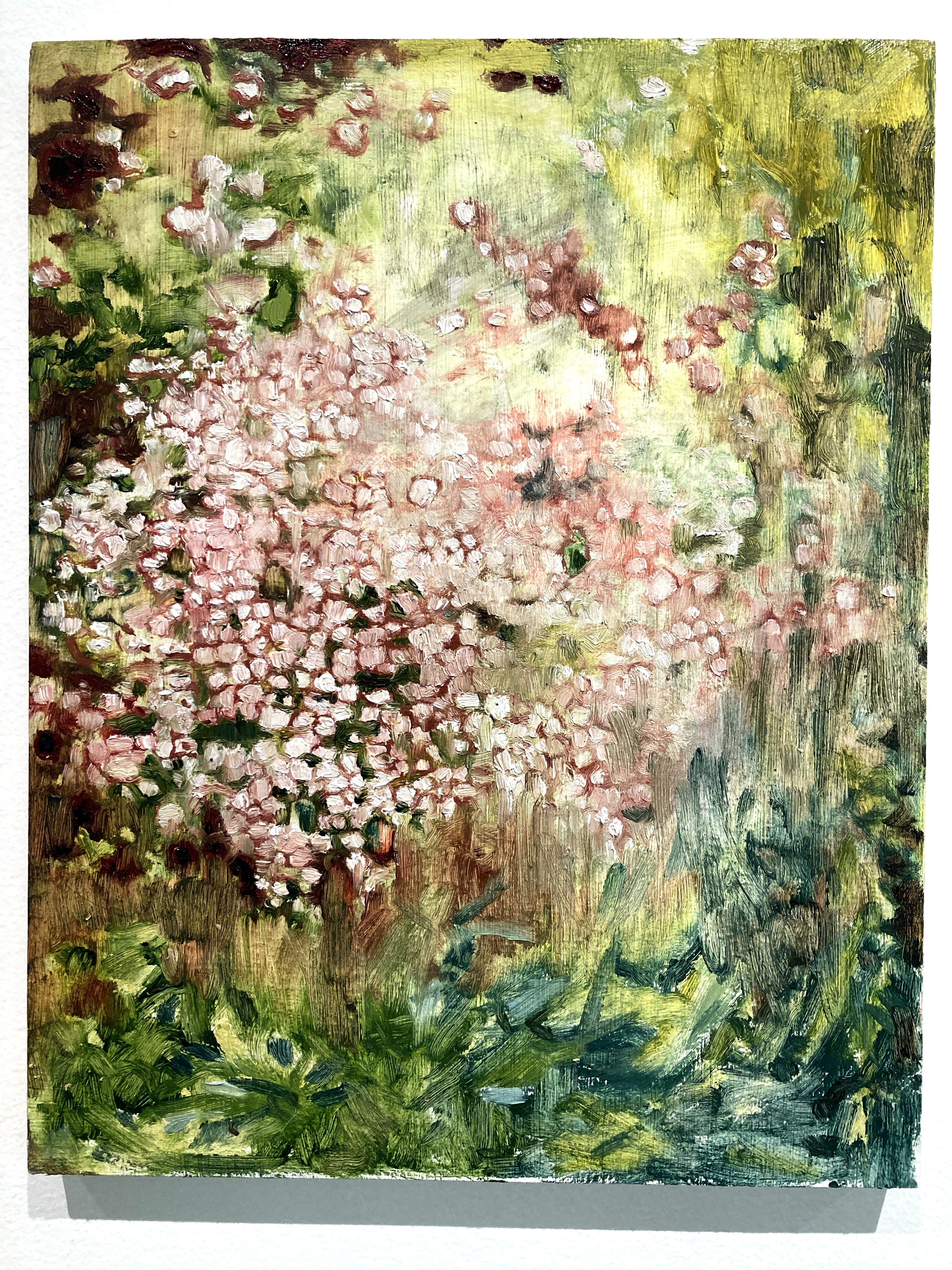 pink flowering tree11 x 14 inches oil on panel 2021