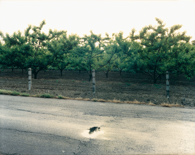 Guido Guidi Via Ravennate, Cesena 1985 ©Guido Guidi