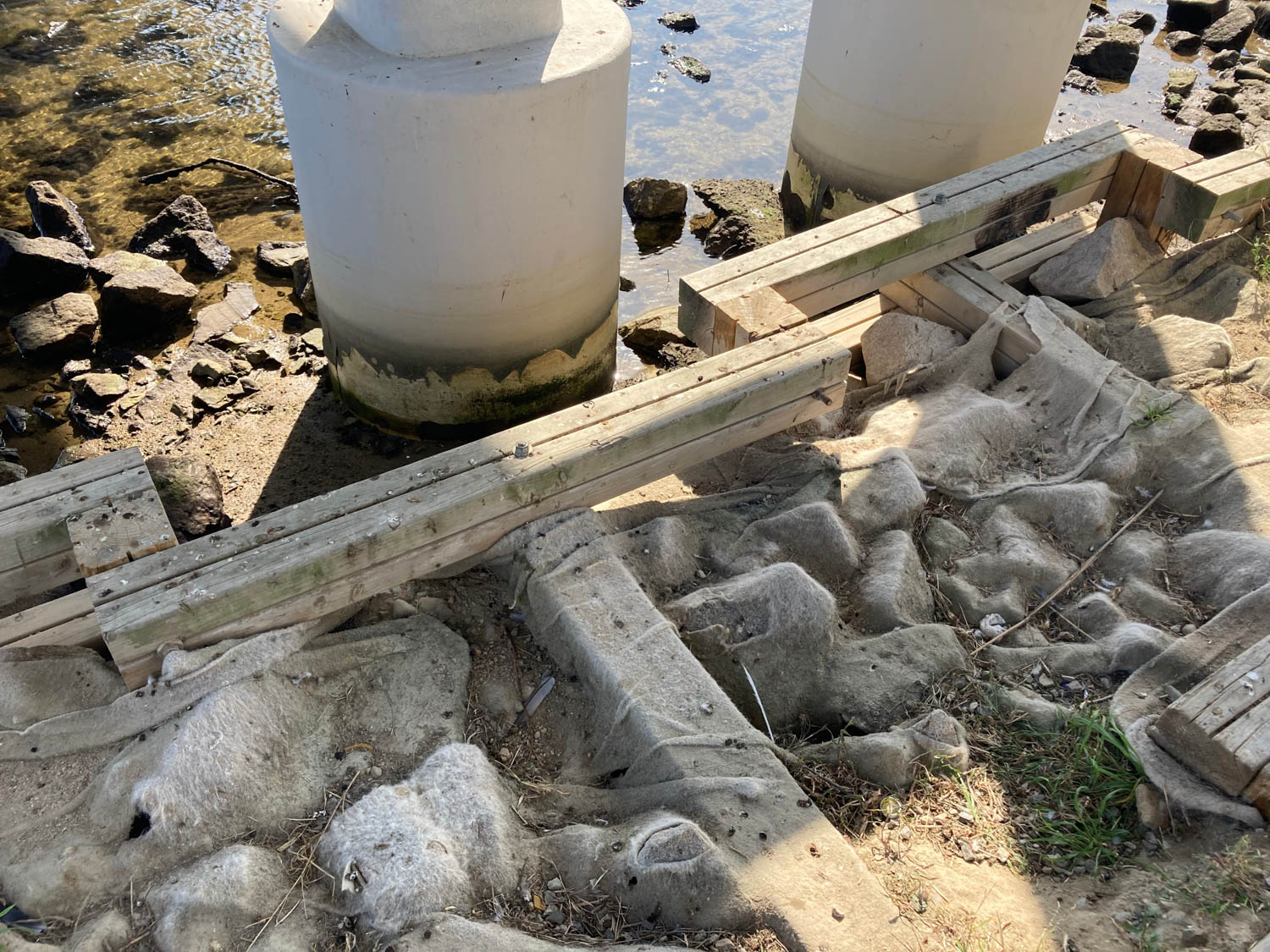 비둘기들의 쉼터이자 화장실