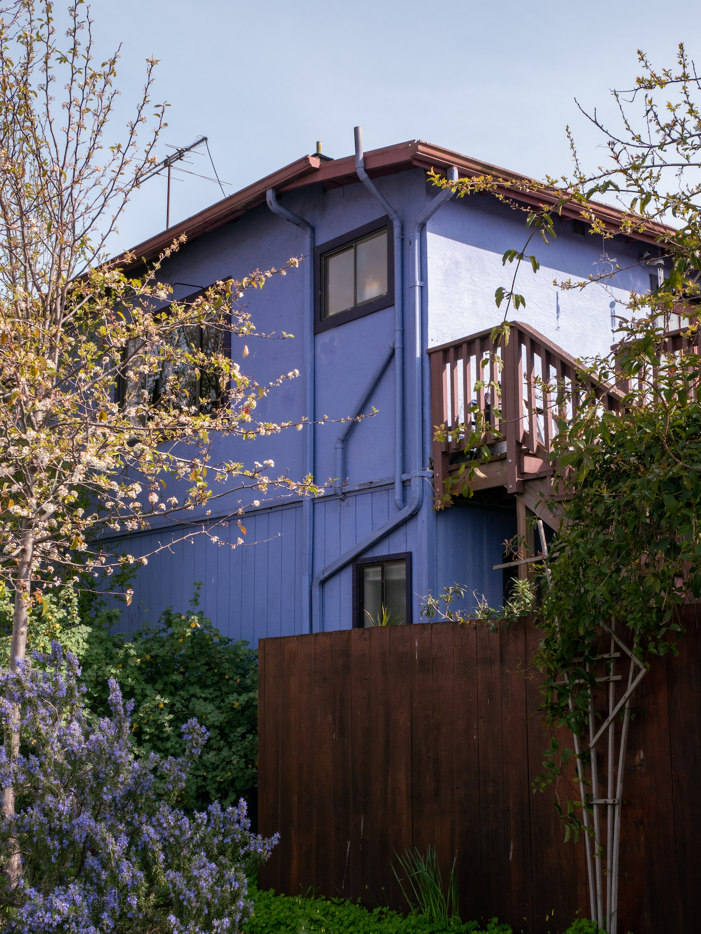 1198 Jones Street, Berkeley, CA