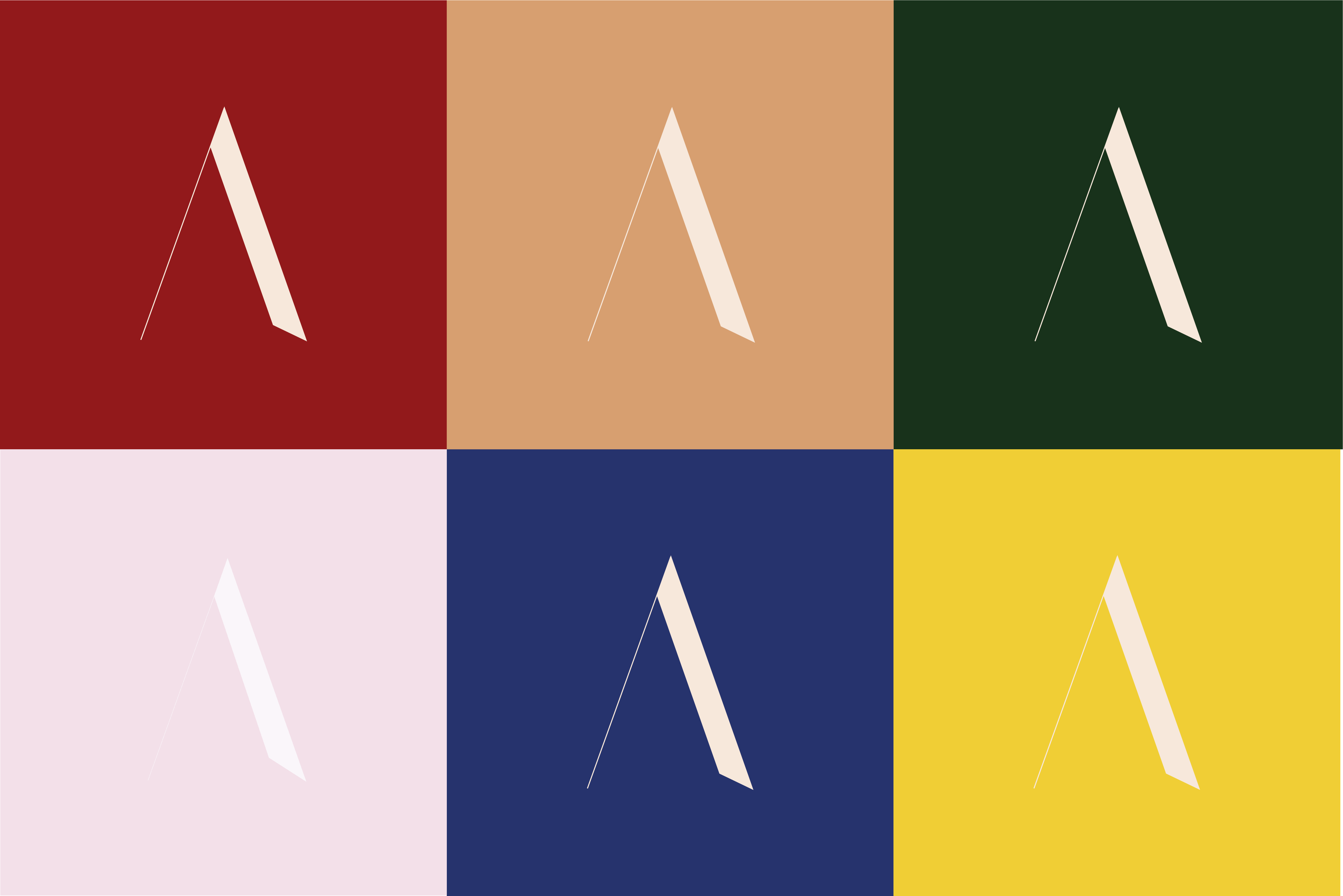 Identité visuelle - pictogrammes des différentes maisons 