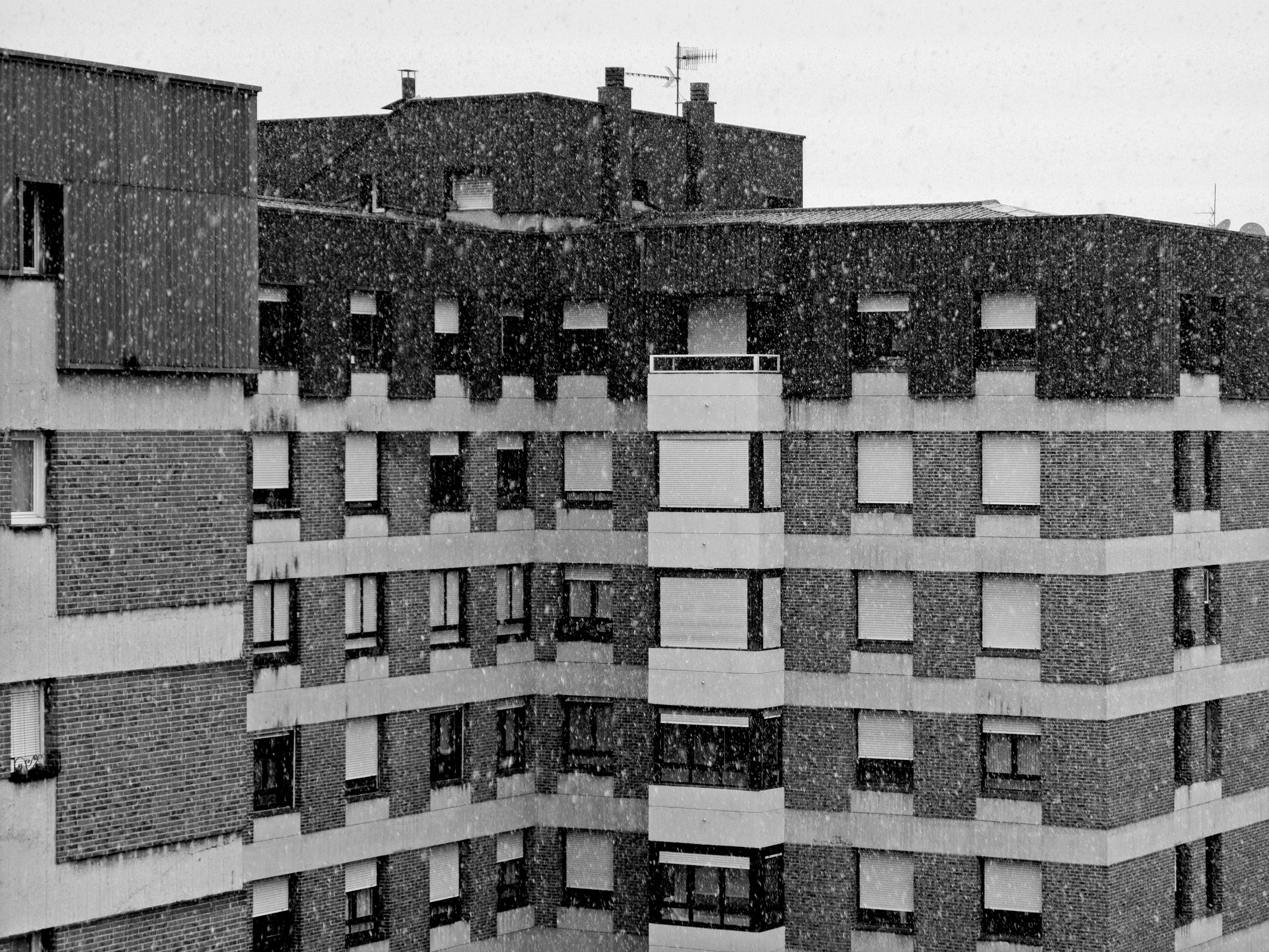 Snow from the studio windowPamplona, Spain, 2024photography, bw, single