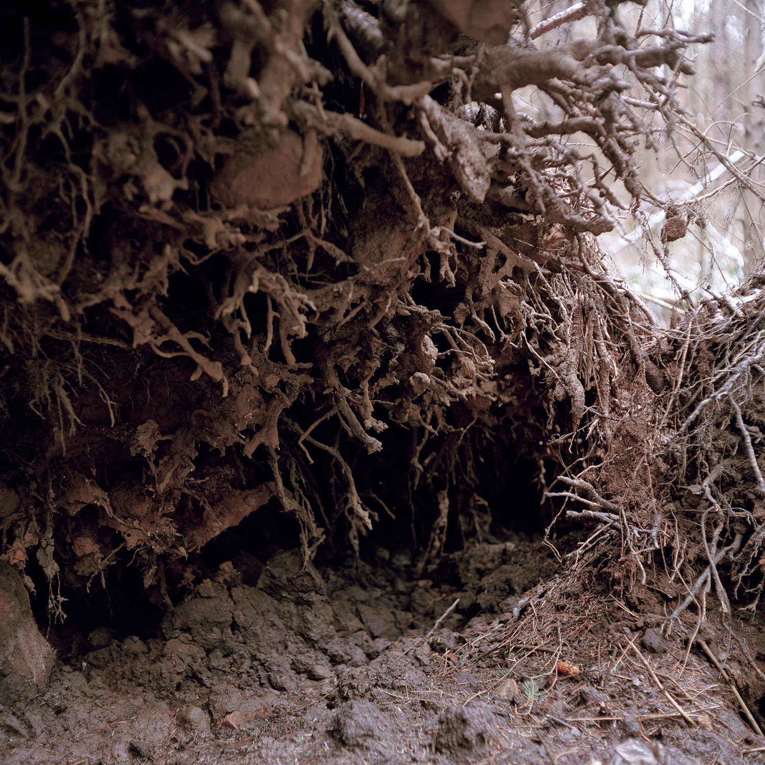 55°53’12”N 3°13’20”W