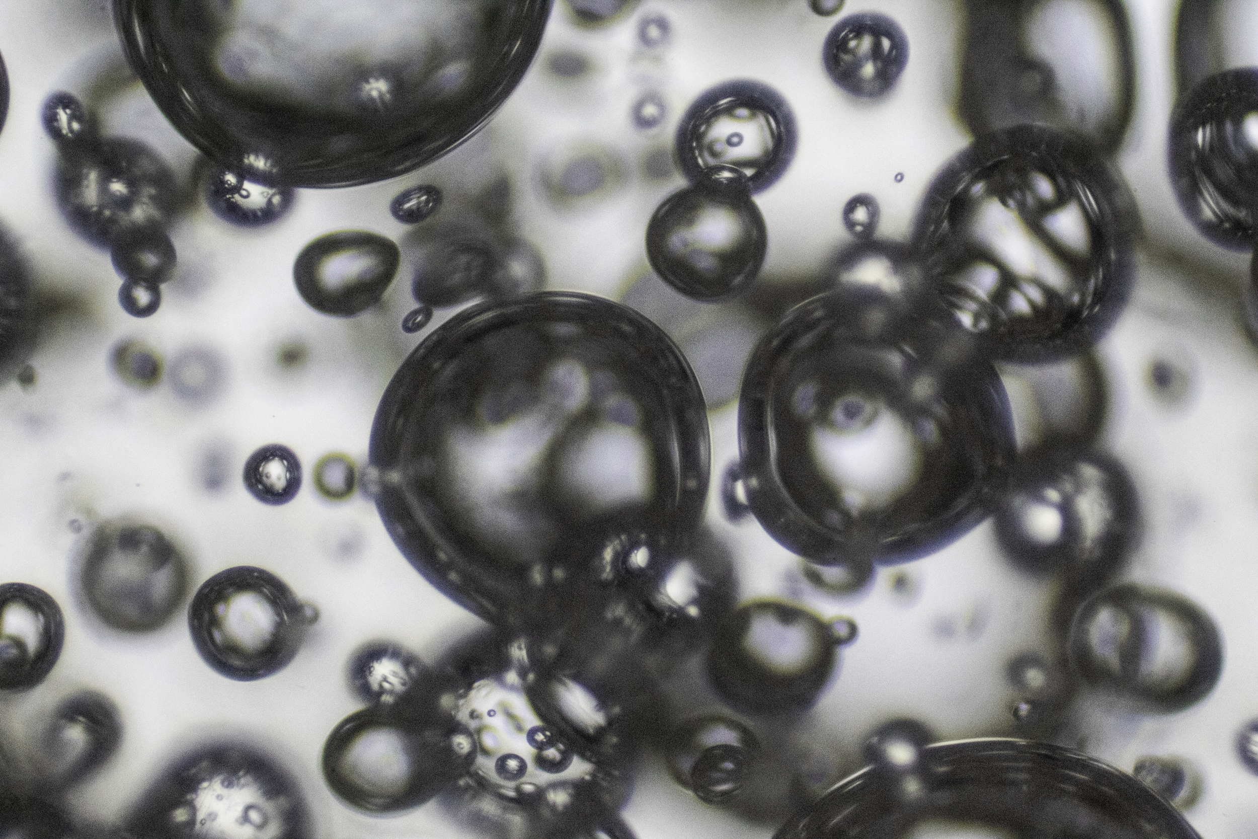 Bioplastic