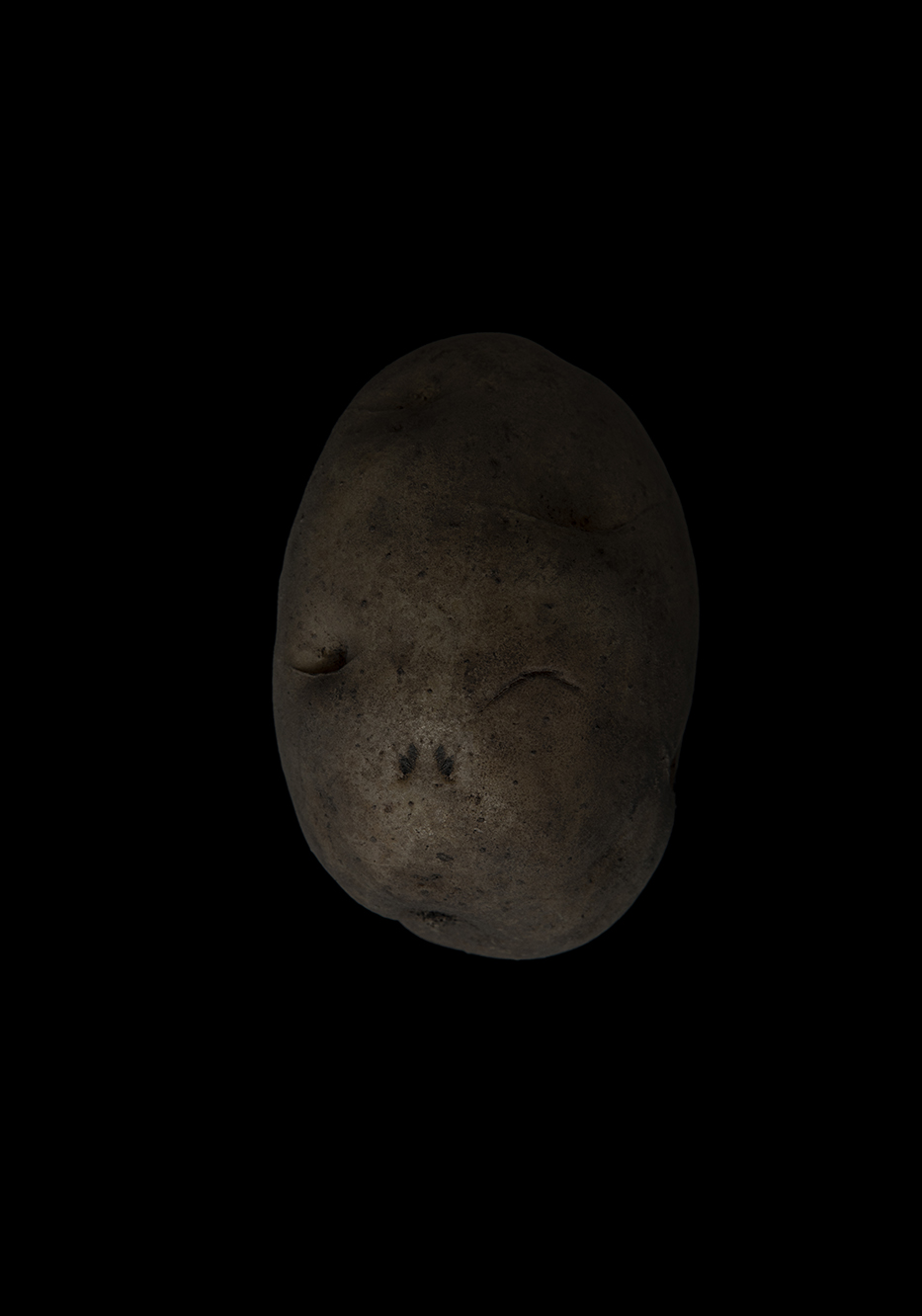 PHOTOGRAPHY RAF STUDIO  VILLA KUJOYAMA KYOTO ART CENTER SYNCHRONICITY EXHIBITION