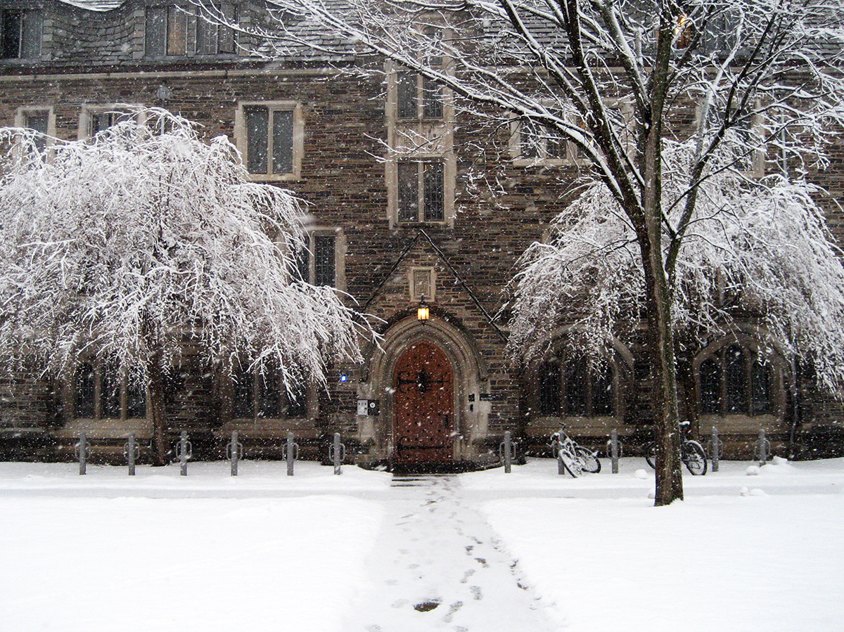 The Campus Landscapes of Beatrix Farrand — DLANDstudio