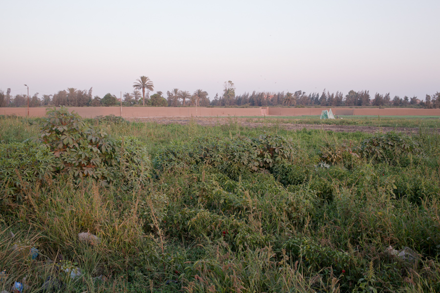 Quand les premiers habitants sont arrivés dans la région, ils se sont installés sur un lopin de terre aride au milieu des champs cultivés. Ils ont peu à peu entouré le village de hauts murs de boue pour le séparer des autres villages et des champs.