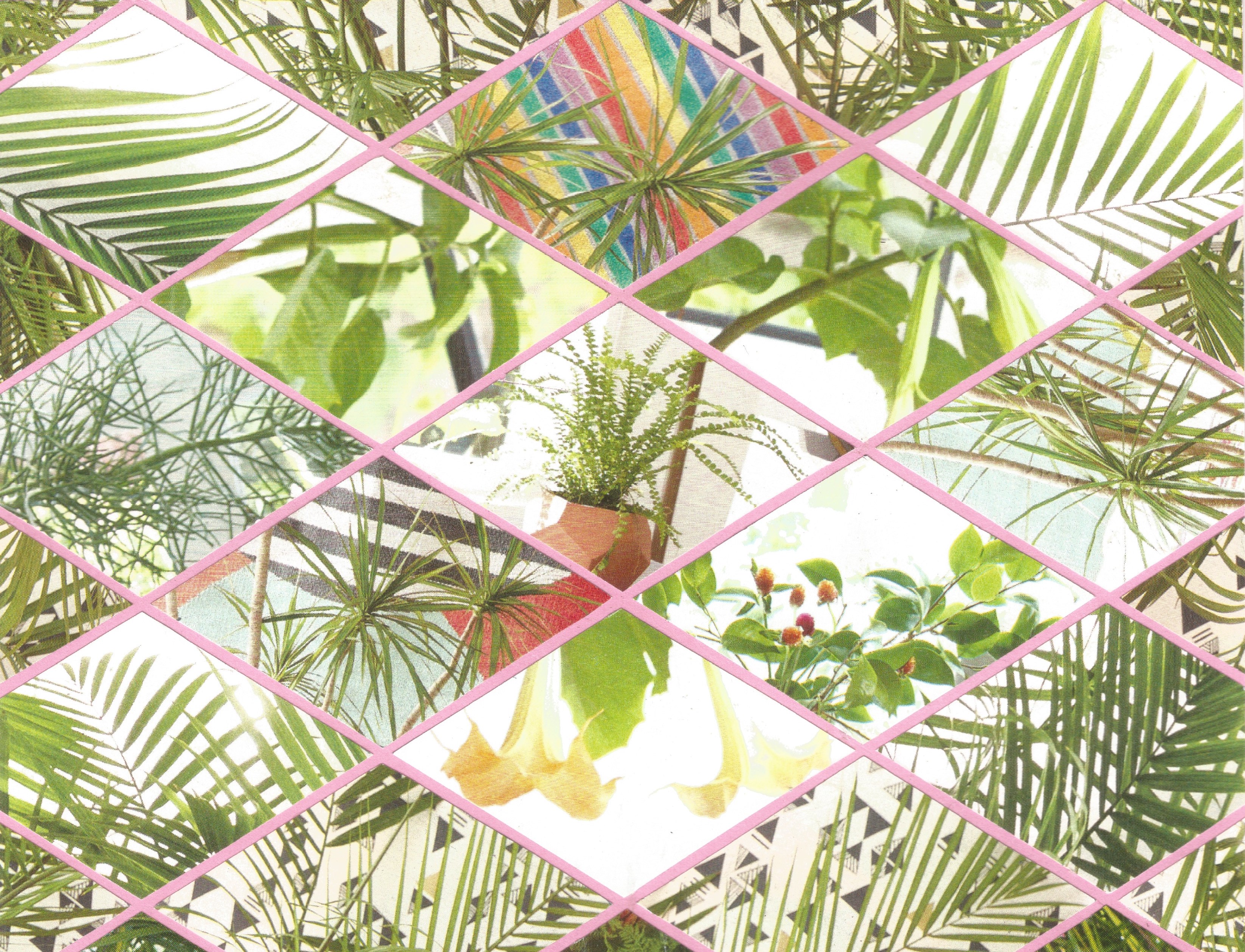 Cassandra - Spring 2021