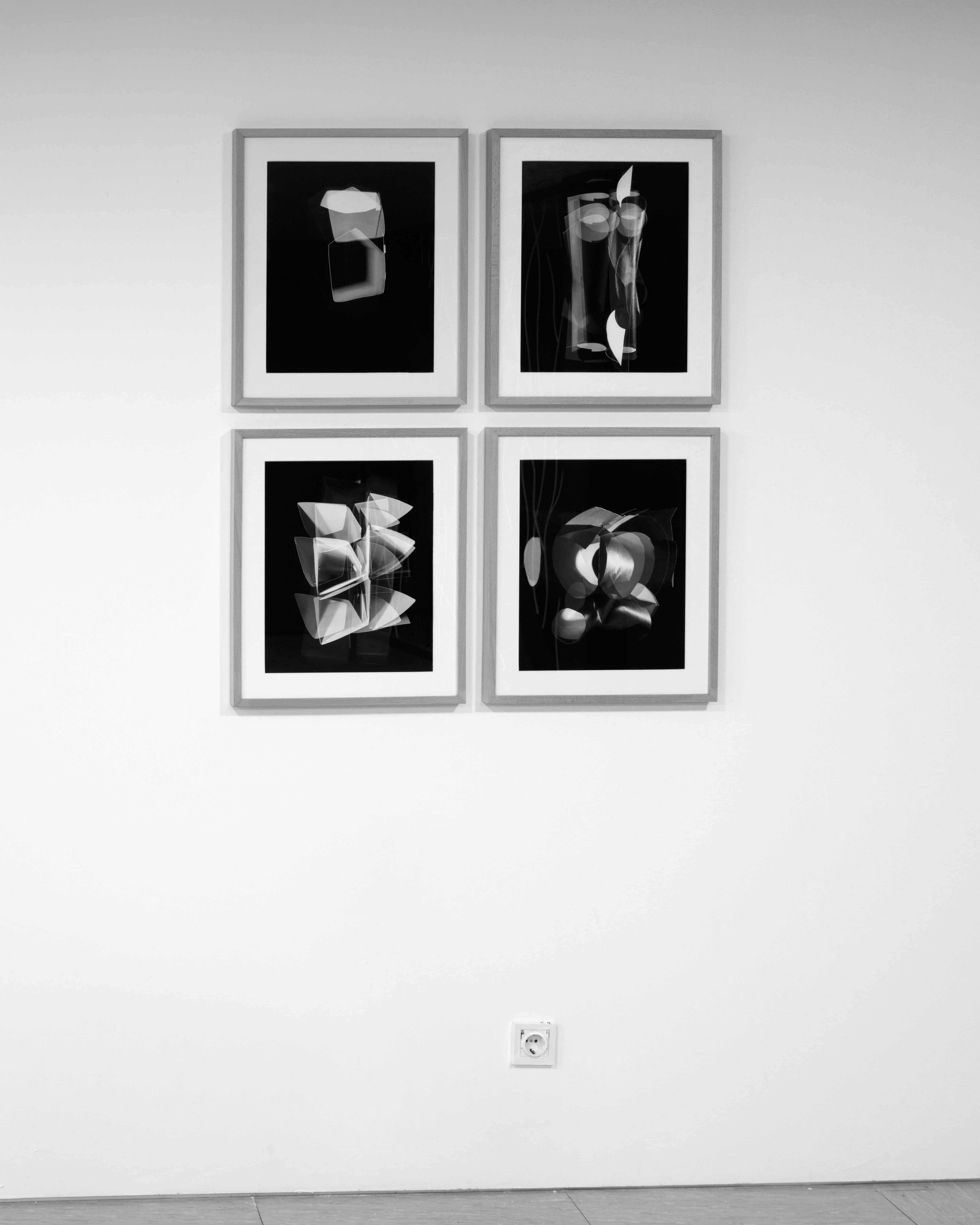 Carpe Diem, LACS (Cascais), 2018